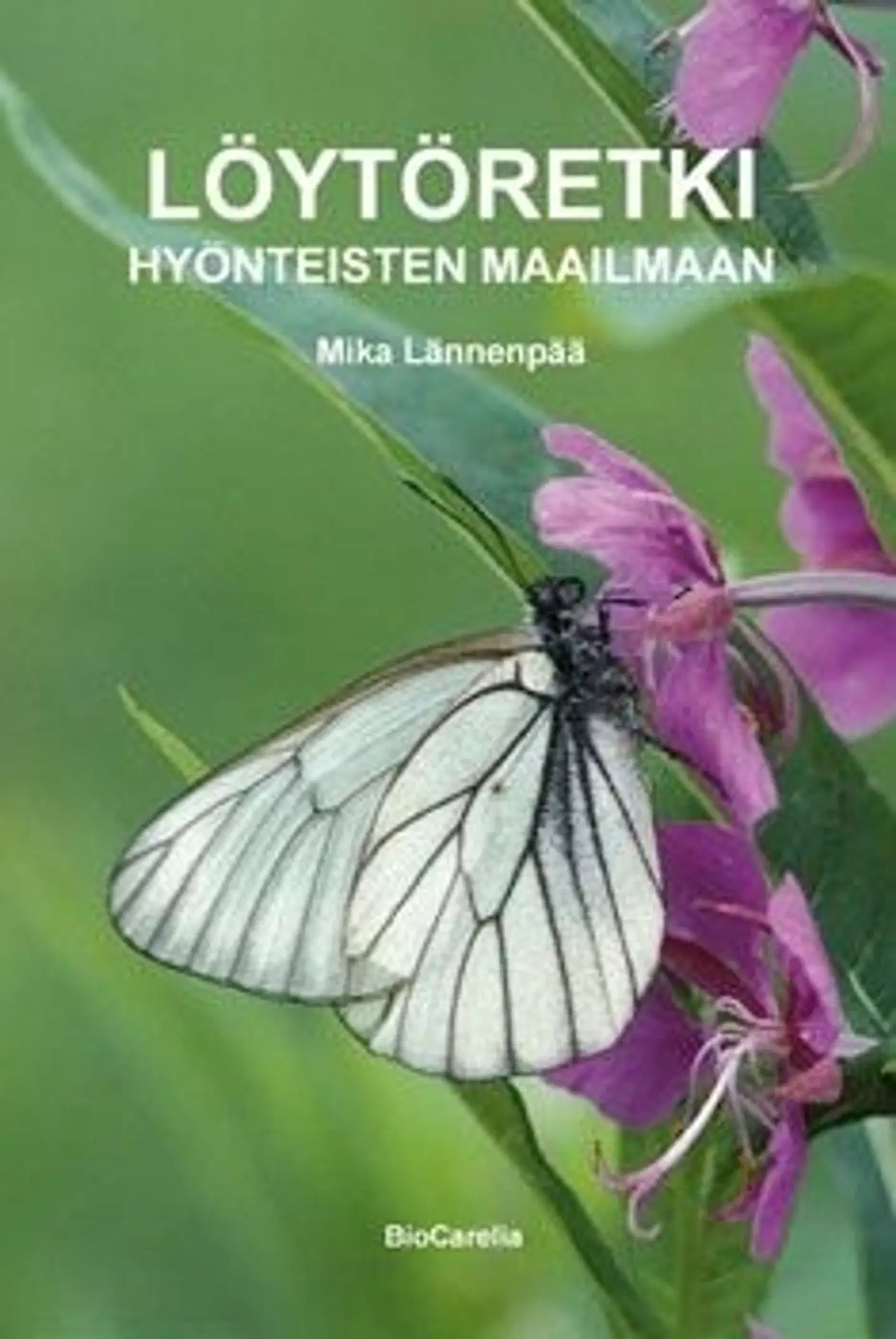 Lännenpää, Löytöretki hyönteisten maailmaan