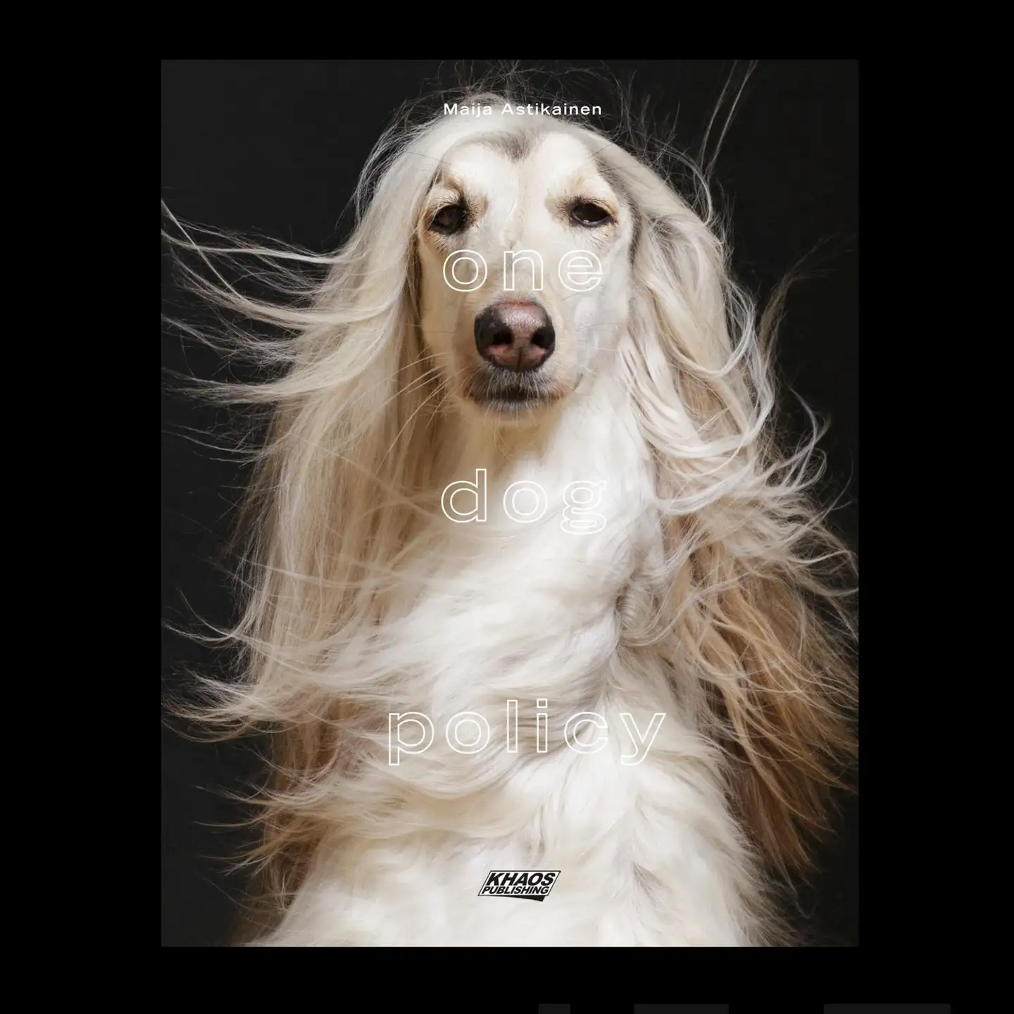 Astikainen, One-Dog Policy