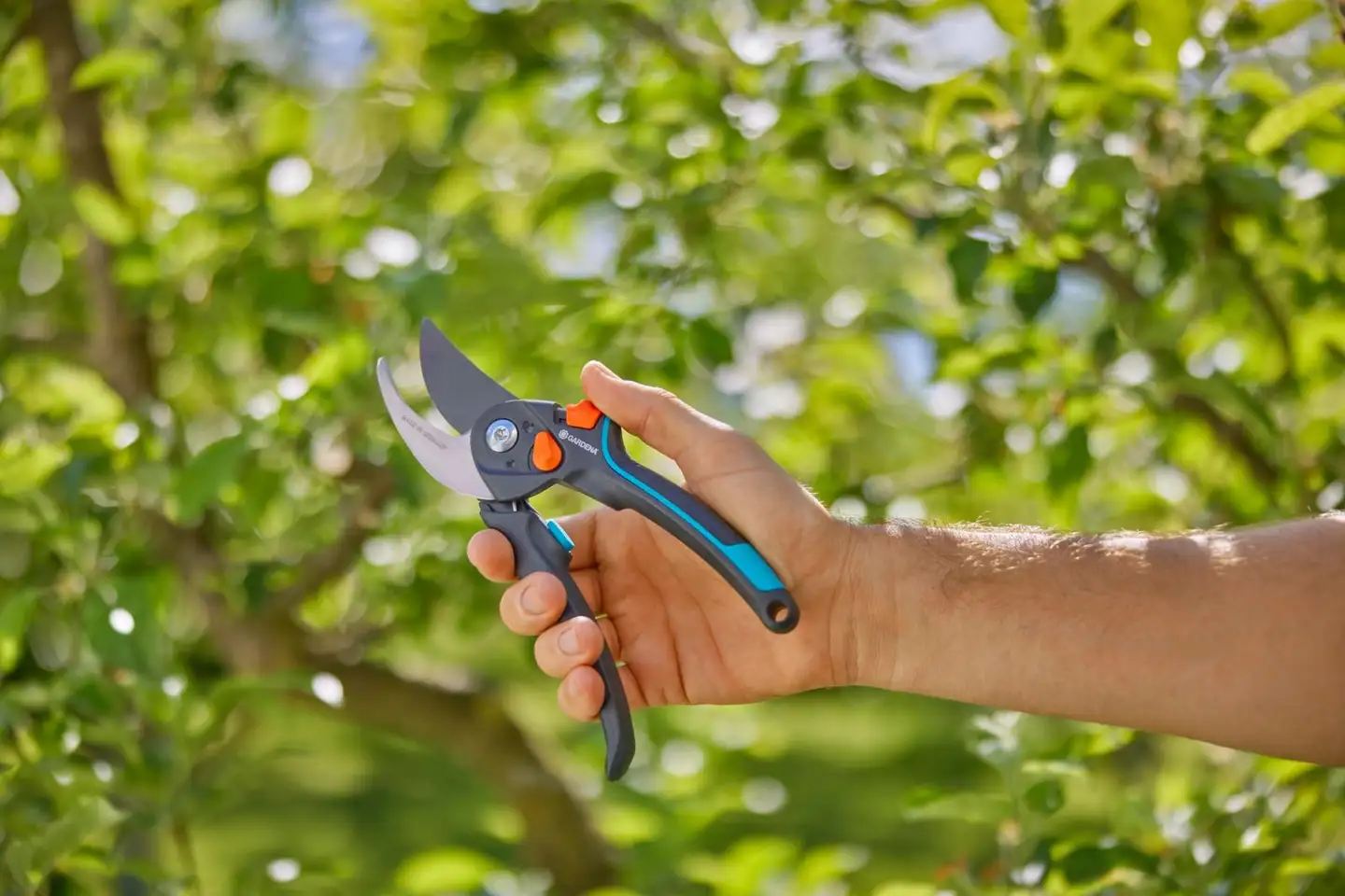 Gardena oksasakset  premiumcut pro flex - 4
