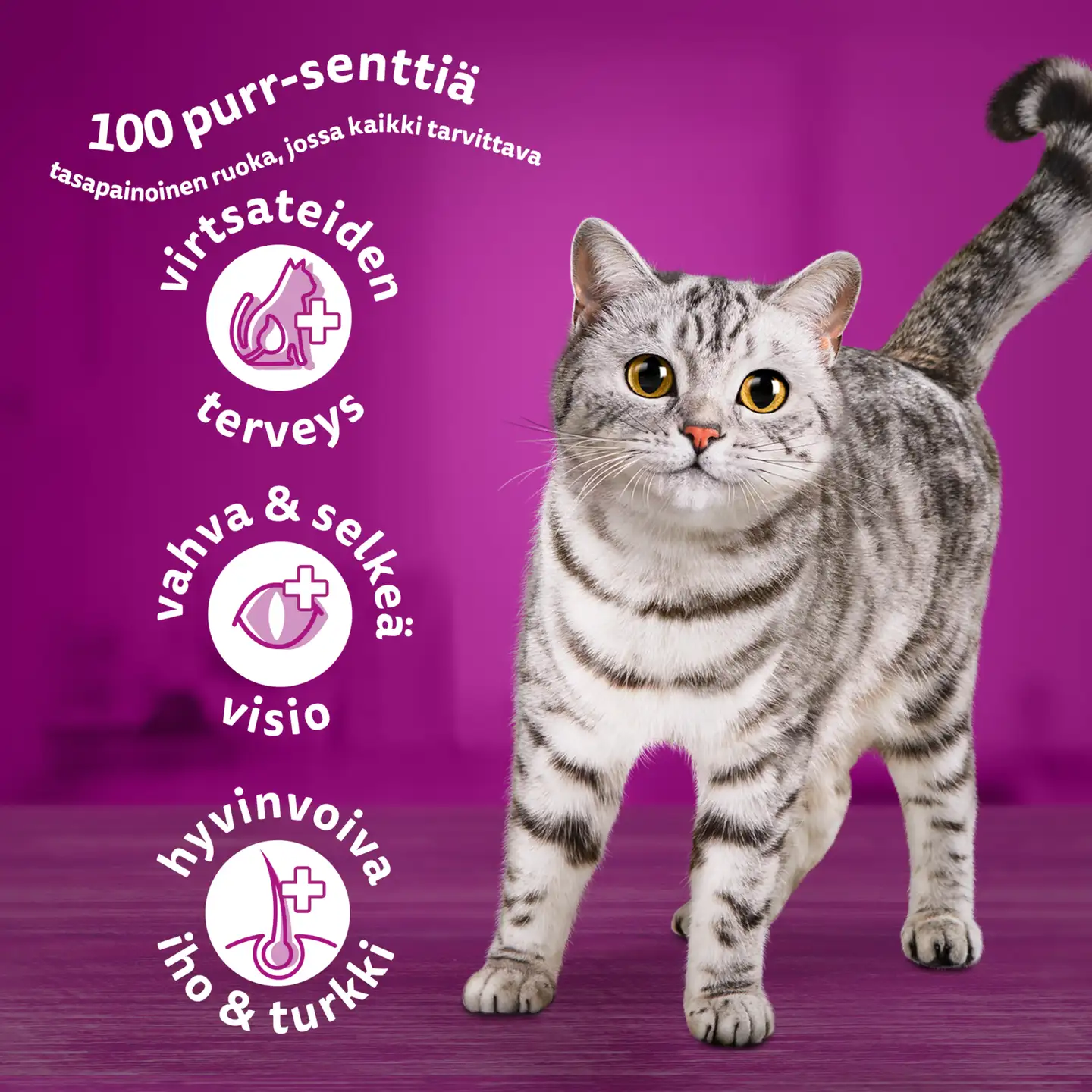 Whiskas 1+ Tonnikalaa 800g - 5