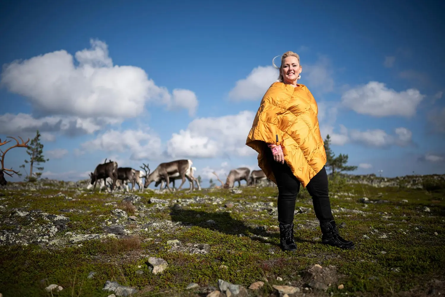 Hanna Heinonen seisoo keltainen untuvaliivi päällä tunturin laella. Taustalla on useita poroja