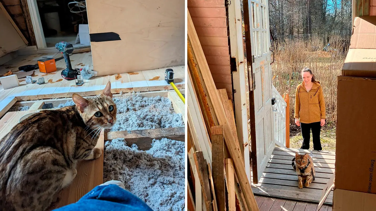 Kahden kuvan kollaasi: Kissa katsoo kameraan remontin keskellä, Anemone Aaltonen ja kissa hirsitalon oven ulkopuolella