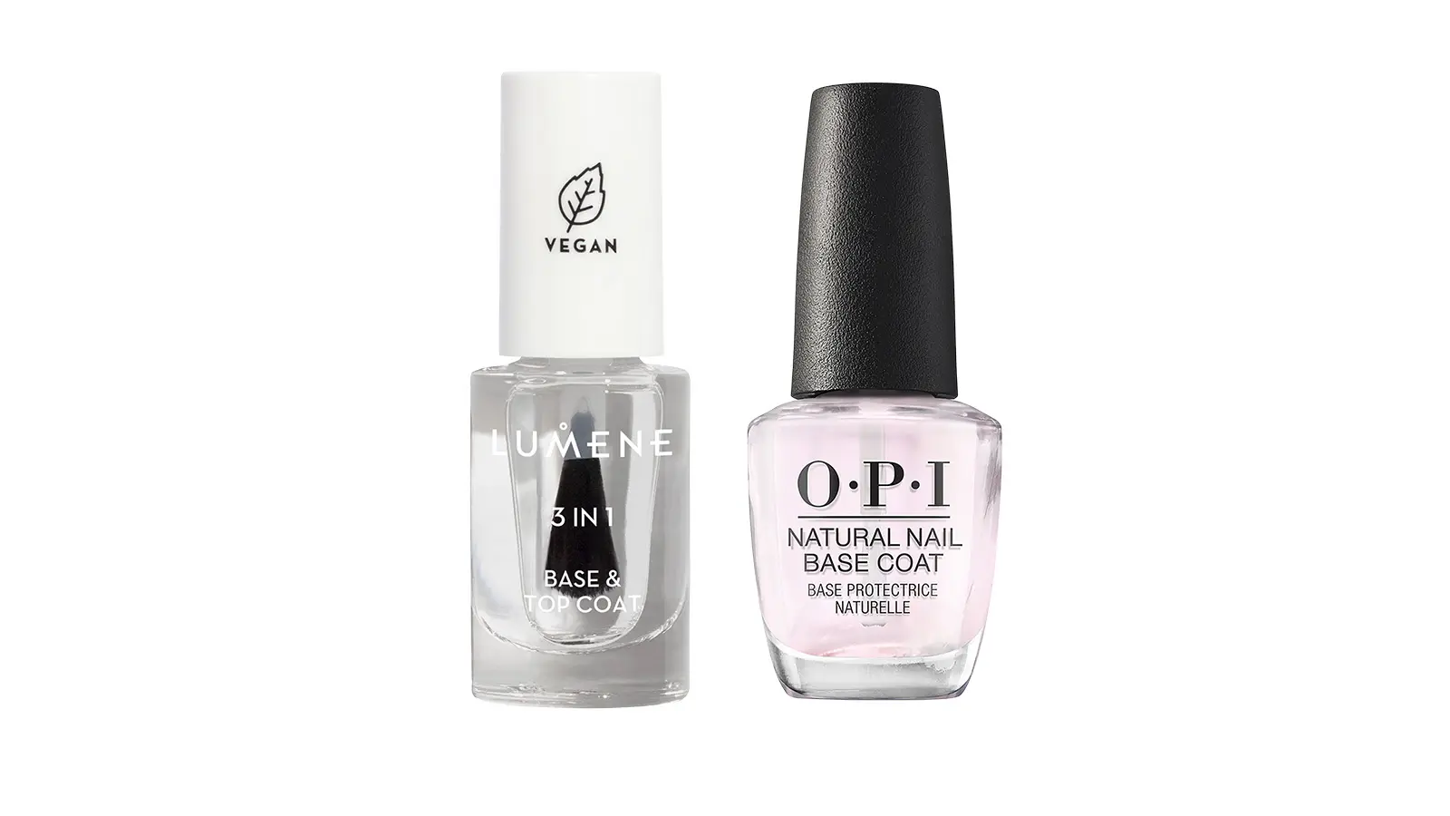 Kaksi erilaista pohjalakkaa