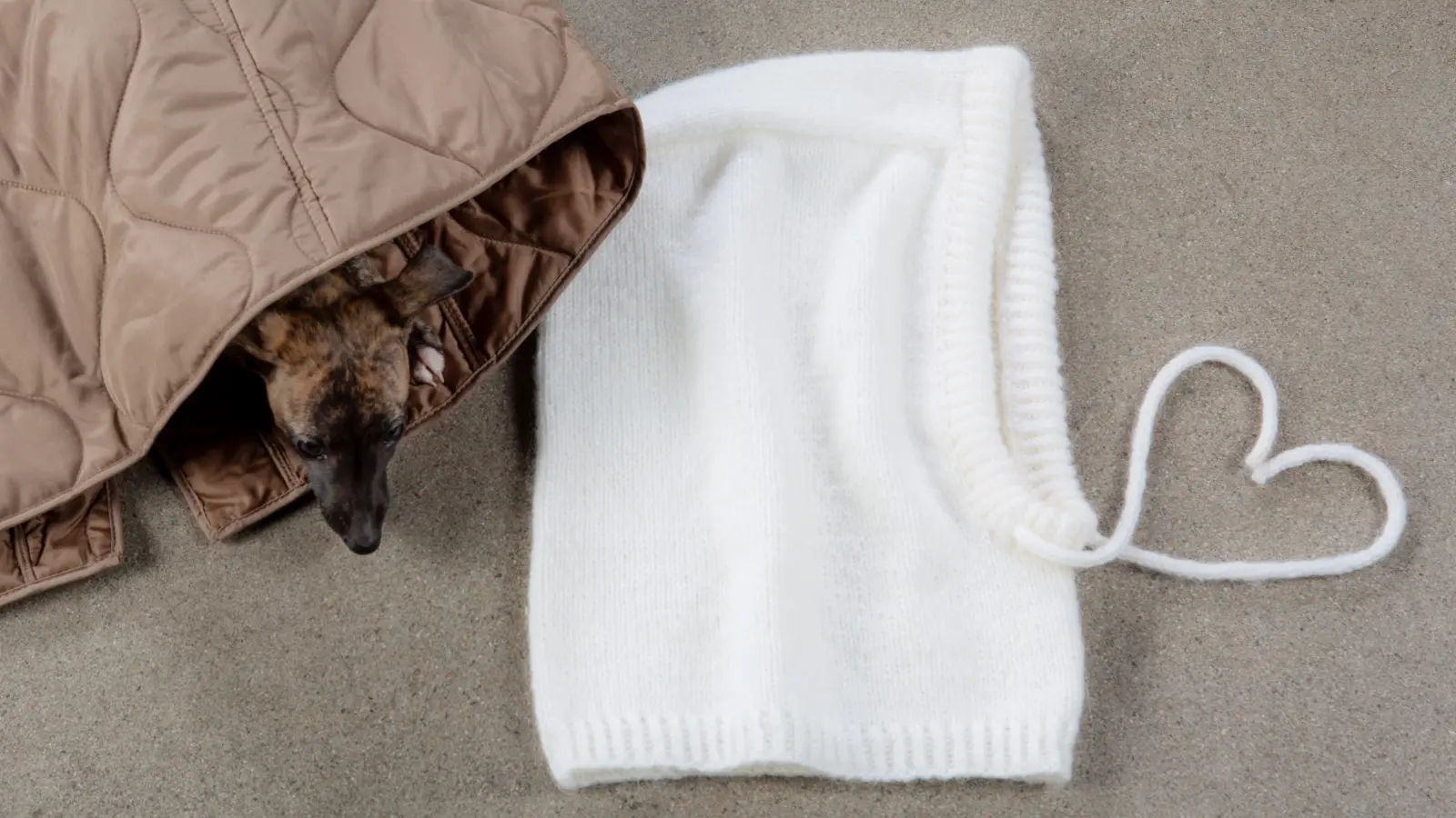 Valkoinen balaclava tason päällä. Vieressä takki ja pieni koira, joka kurkistaa takin helman alta.