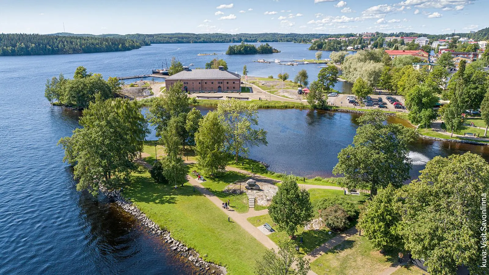 Riihisaari ilmasta kuvattuna vehreänä kesäpäivänä.