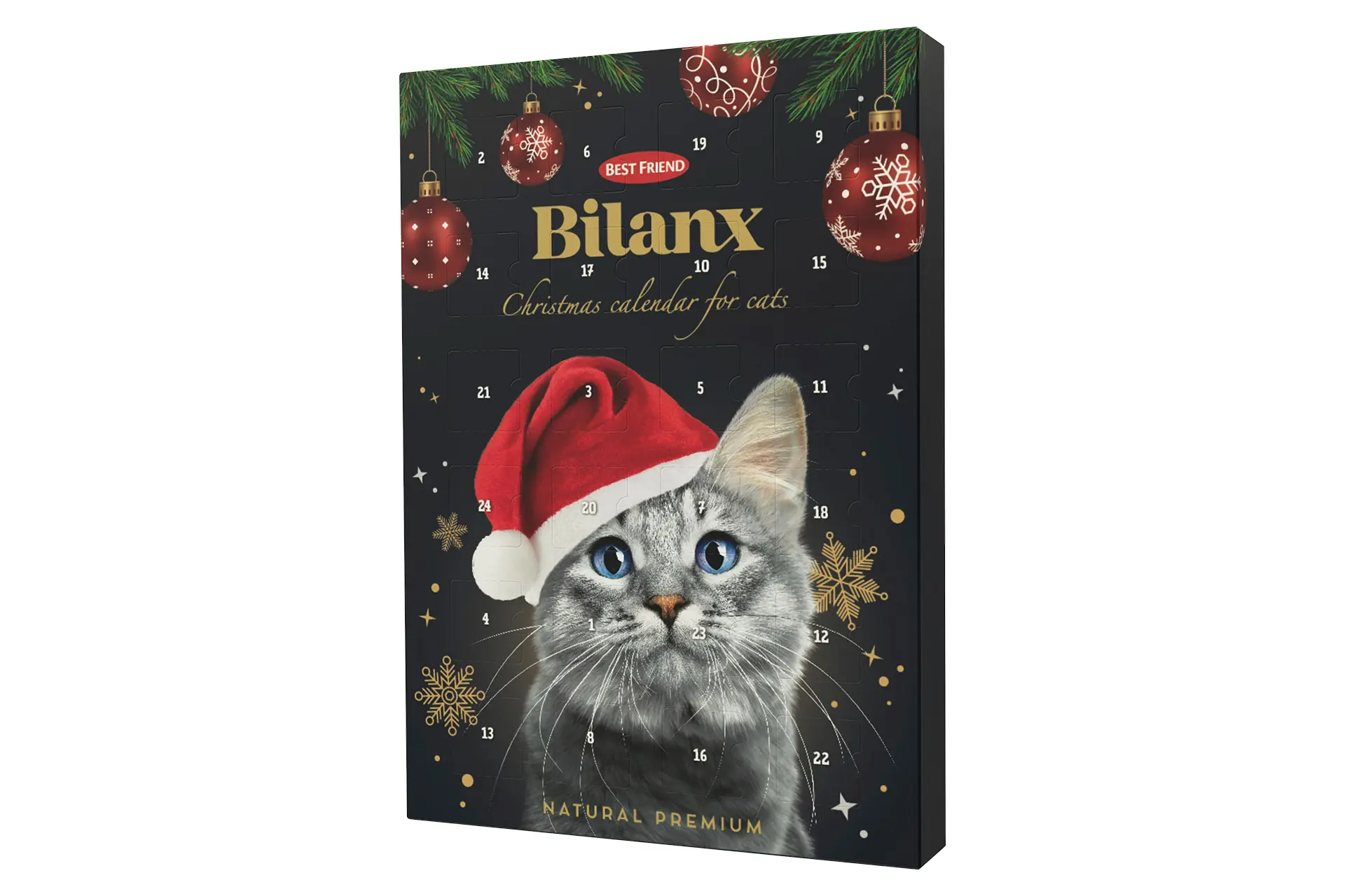 Best Friend Bilanx kissan joulukalenteri
