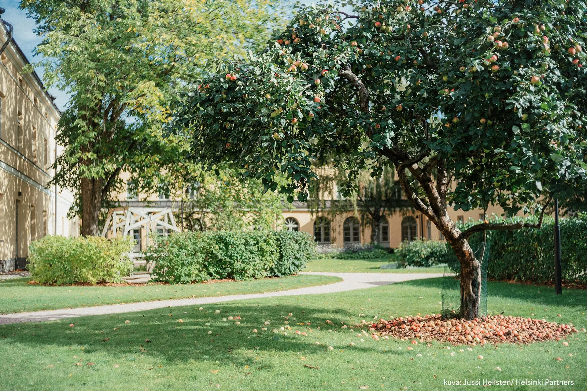 Vanhan Lapinlahden sairaalan vehreä puutarha.