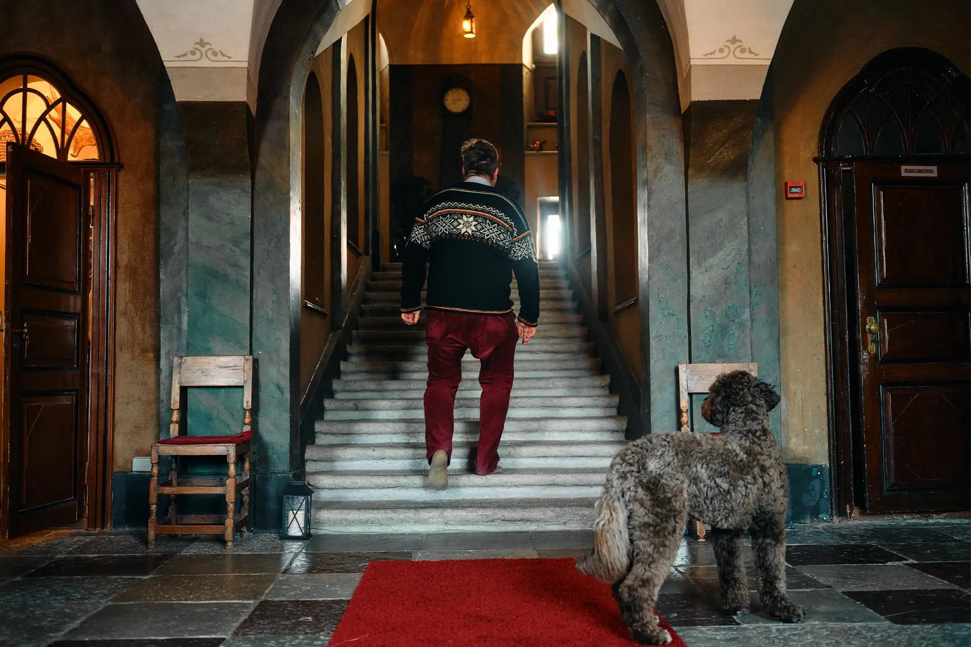 Mies kävelee portaita ylös, harmaa koira katsoo vieressä.
