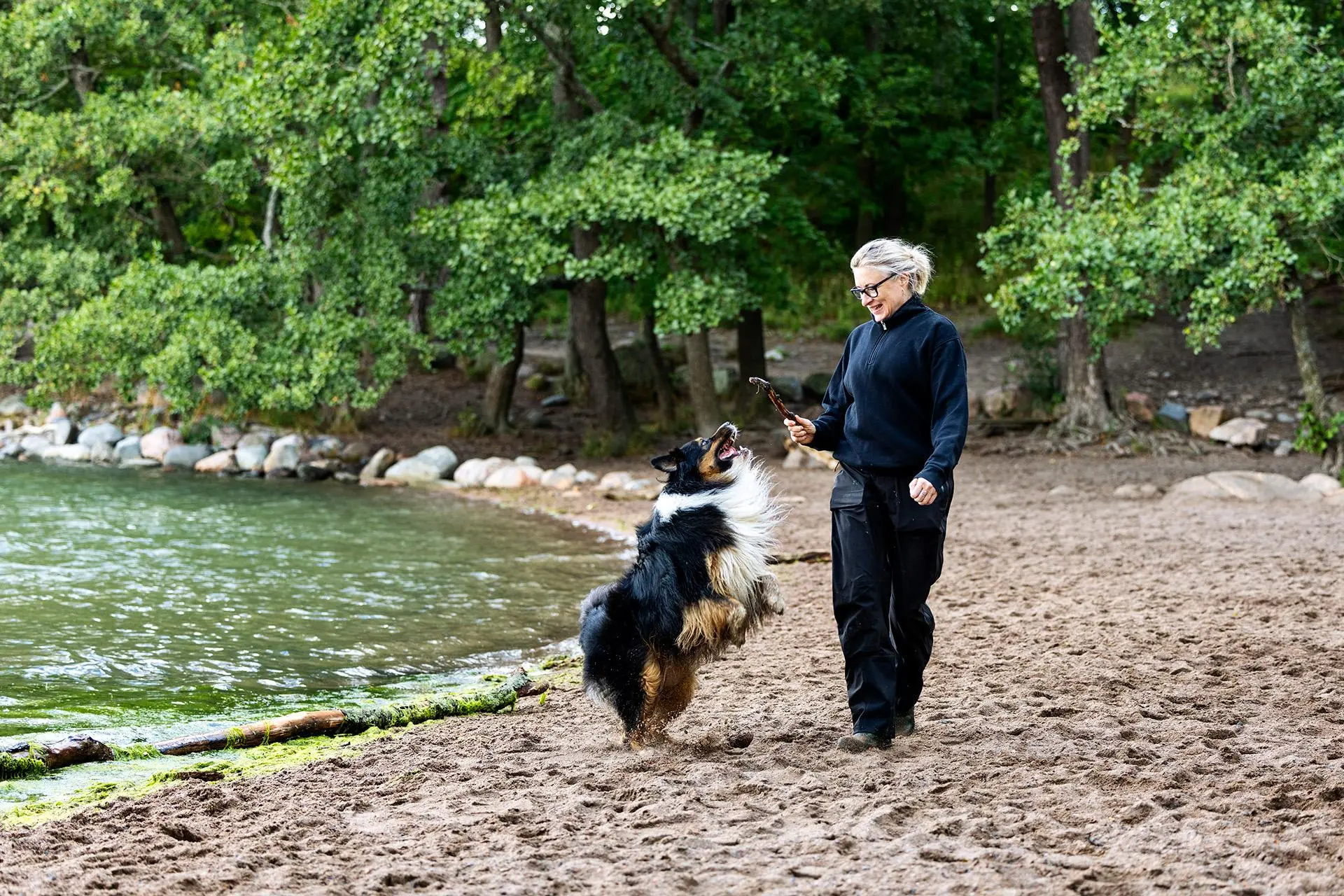 Katja Ståhl ja Gösta-koira Rajasaaressa Helsingissä