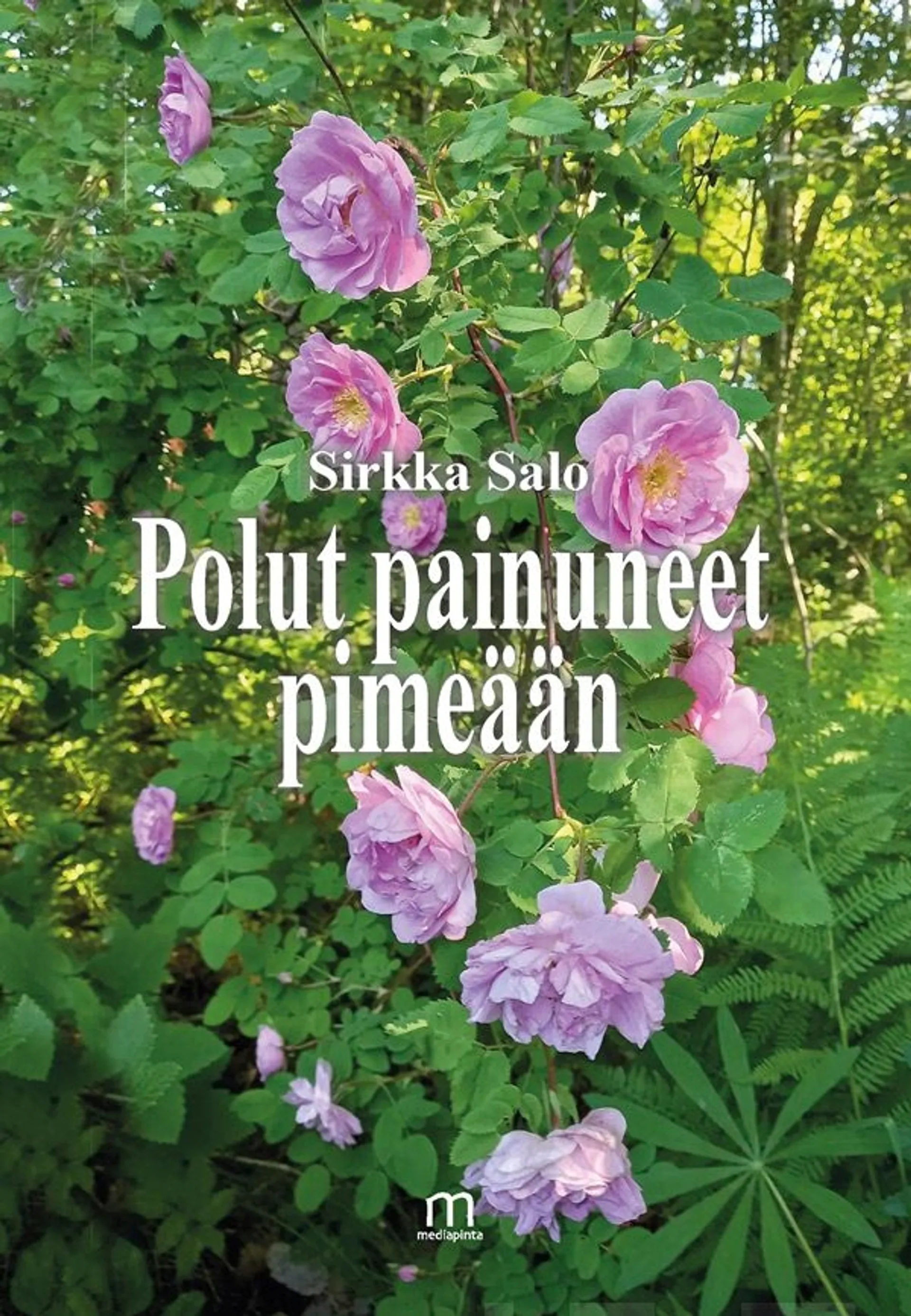 Salo, Polut painuneet pimeään