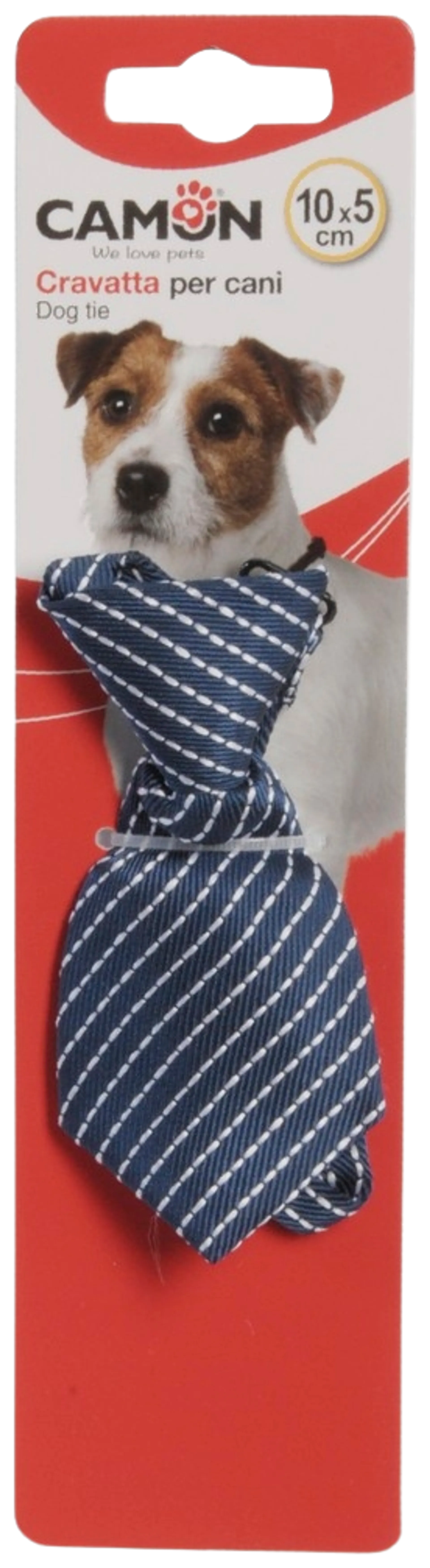 Camon koiran kravatti 10cm - 2