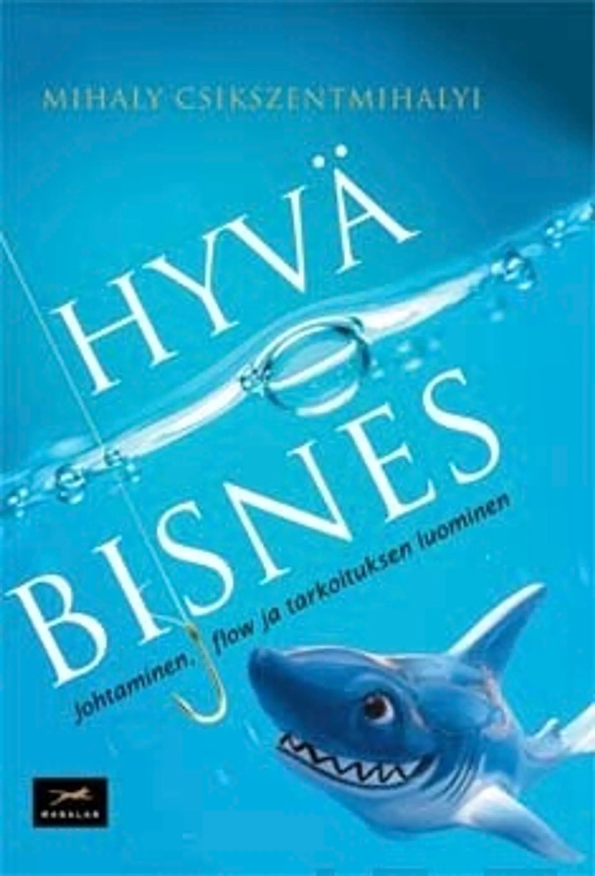 Hyvä bisnes