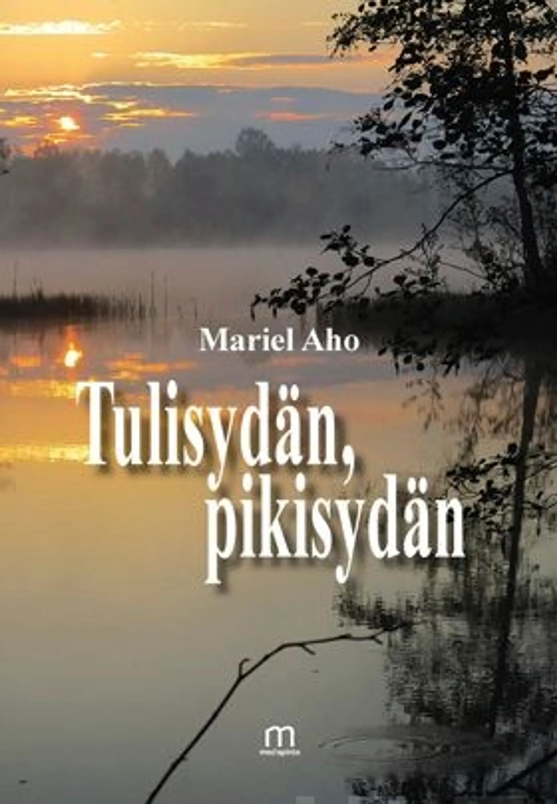 Aho, Tulisydän, pikisydän