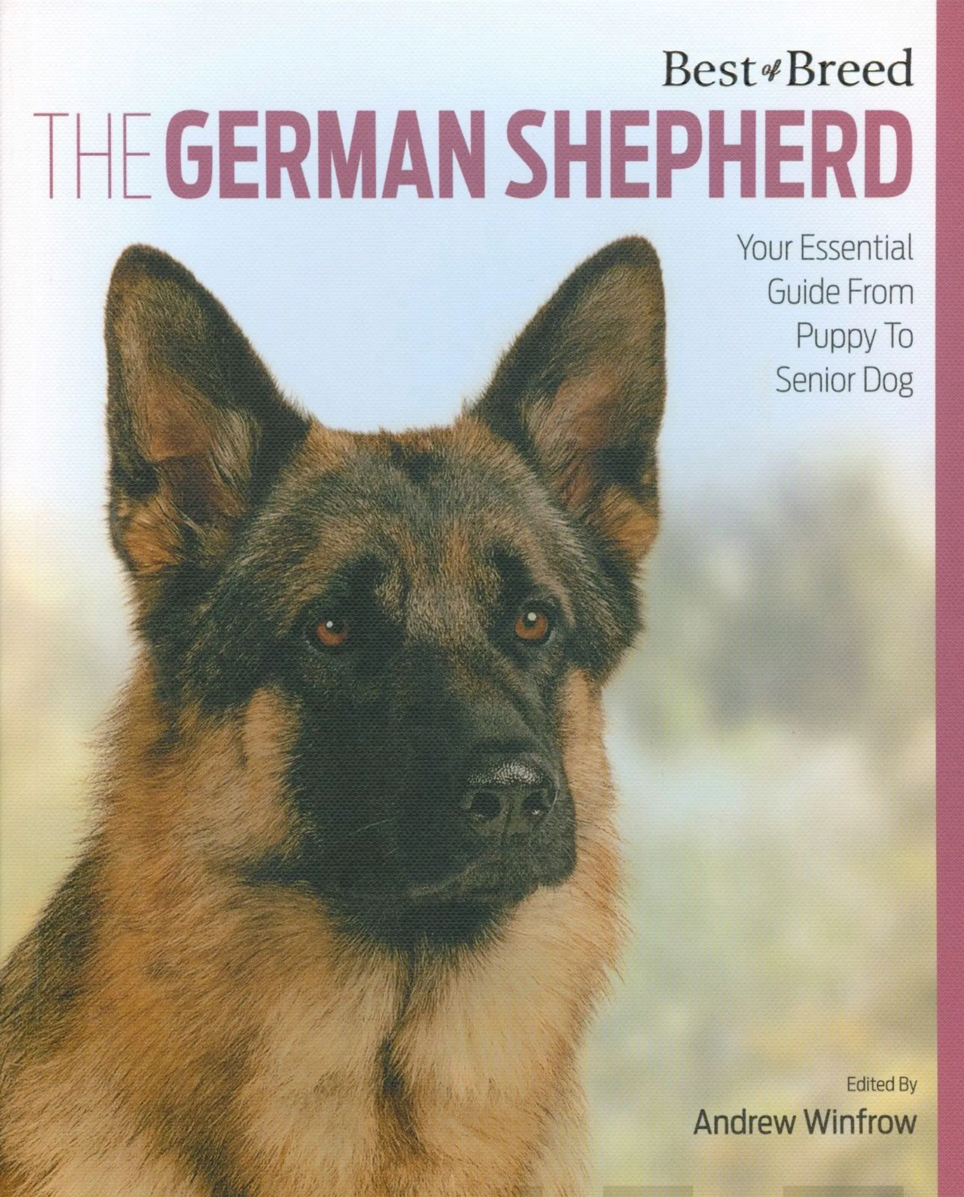 The German Shepherd - Your Essential Guide From Puppy to Senior Dog