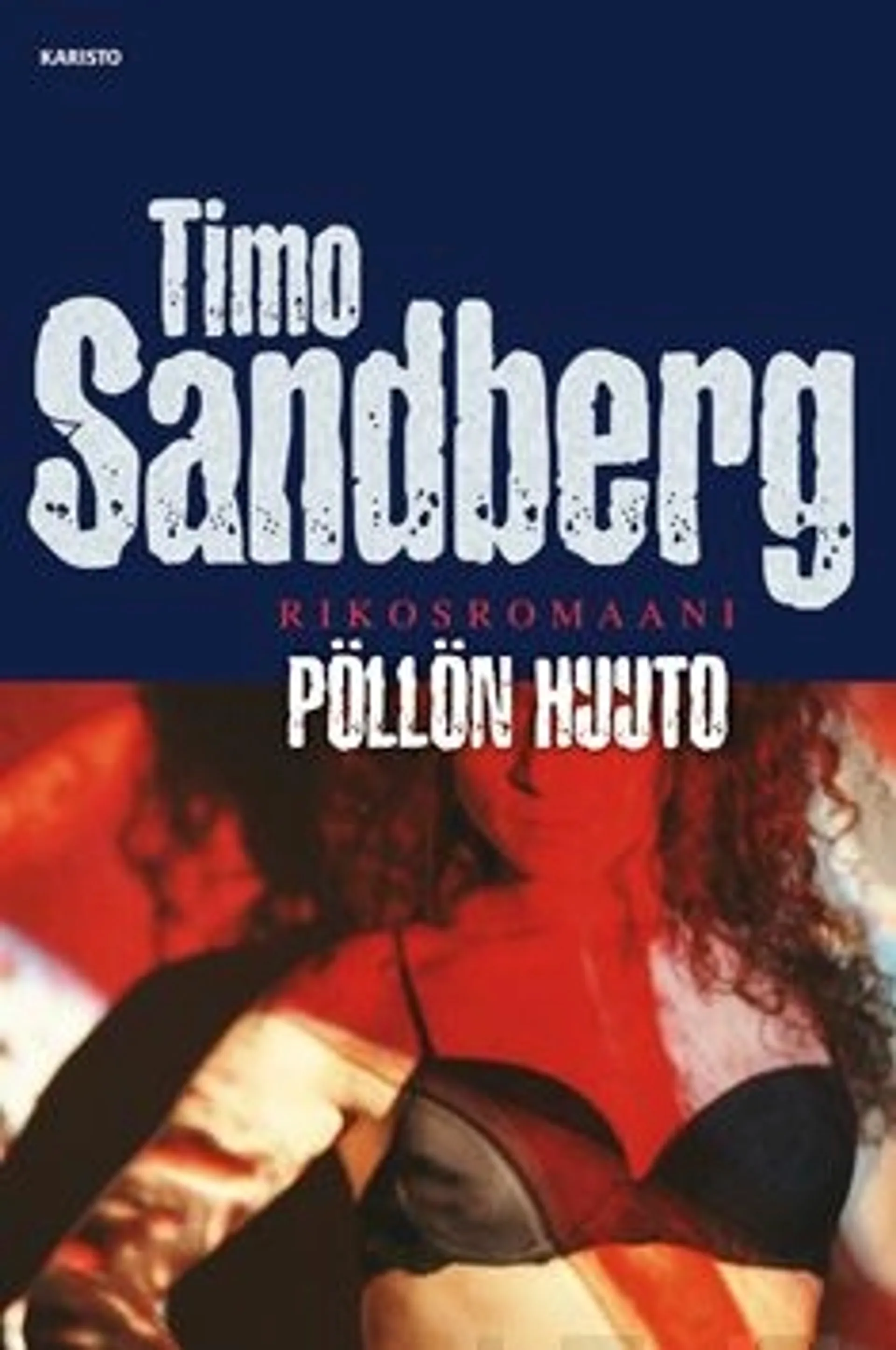 Sandberg, Pöllön huuto - Rikosromaani