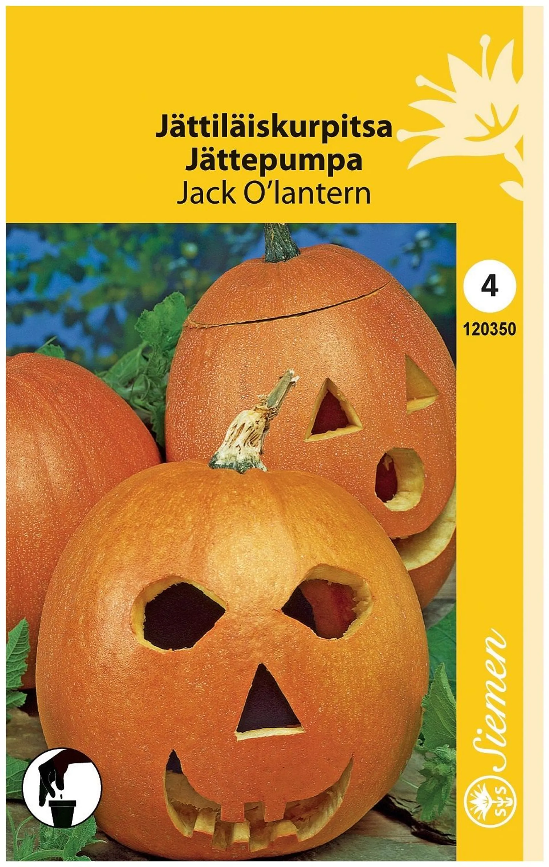 Jättikurpitsa Jack O'Lantern