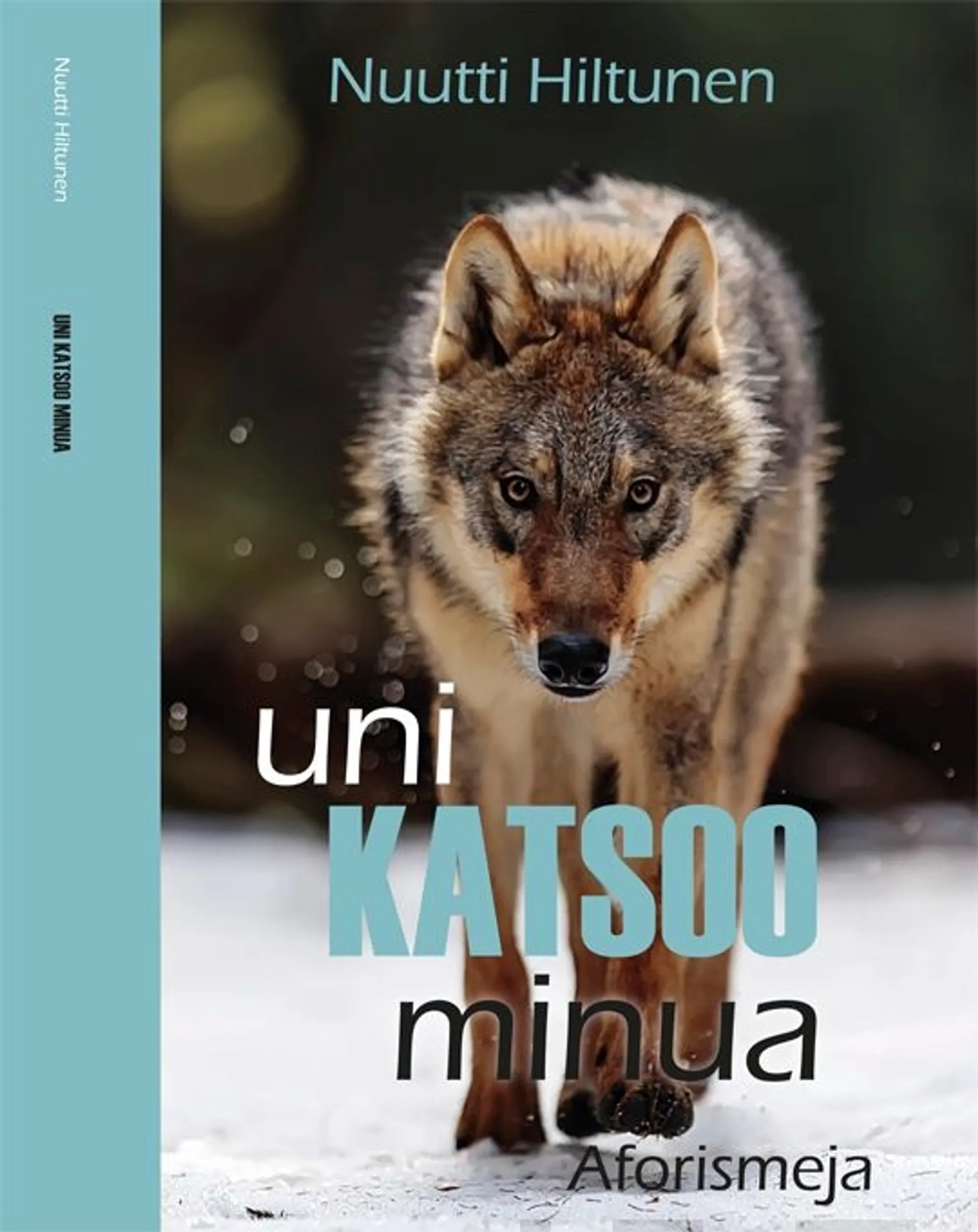 Hiltunen, Uni katsoo minua - Aforismeja