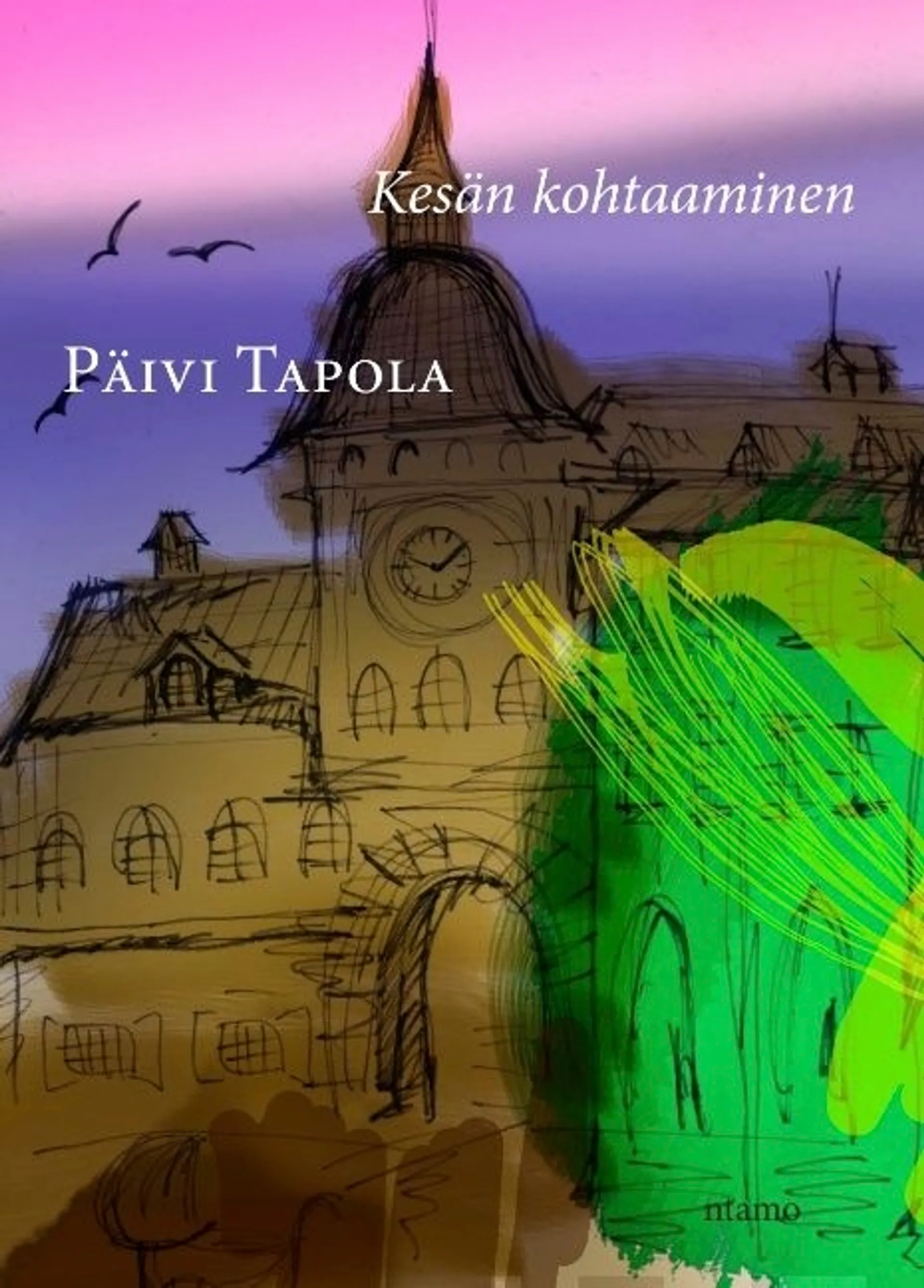 Tapola, Kesän kohtaaminen - Romaani