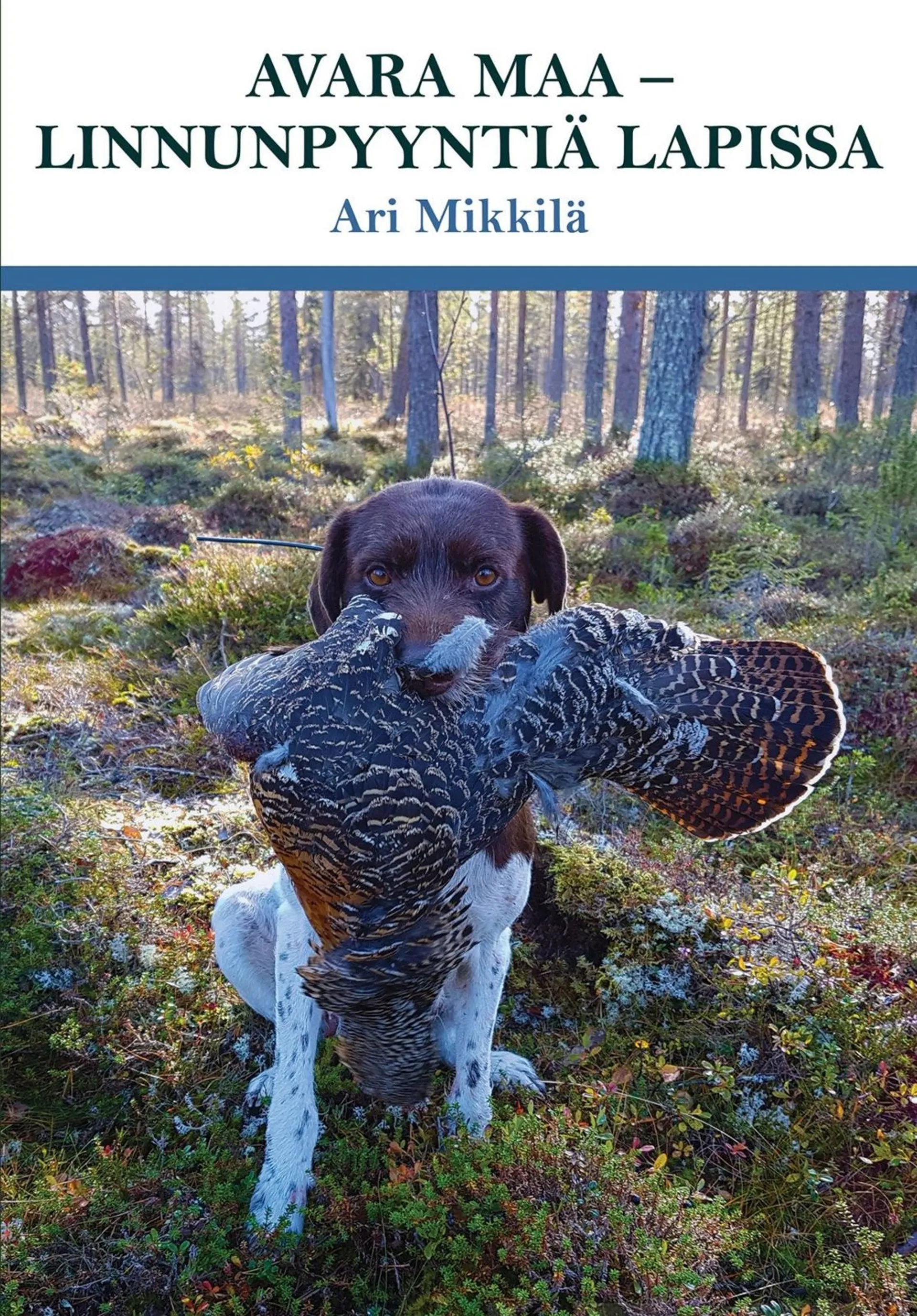 Mikkilä, Avara maa - Linnunpyyntiä Lapissa