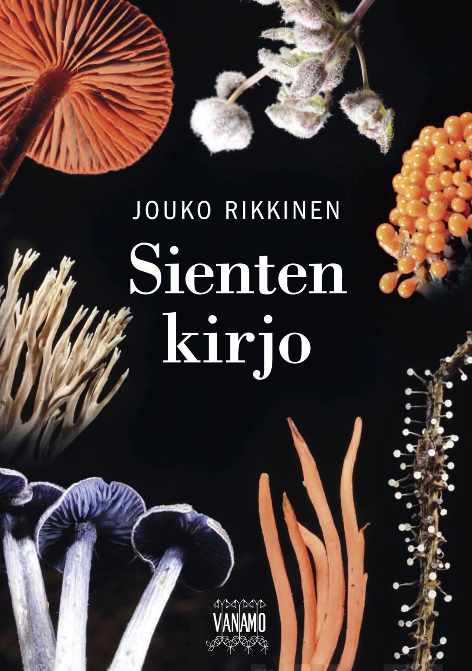 Rikkinen, Sienten kirjo