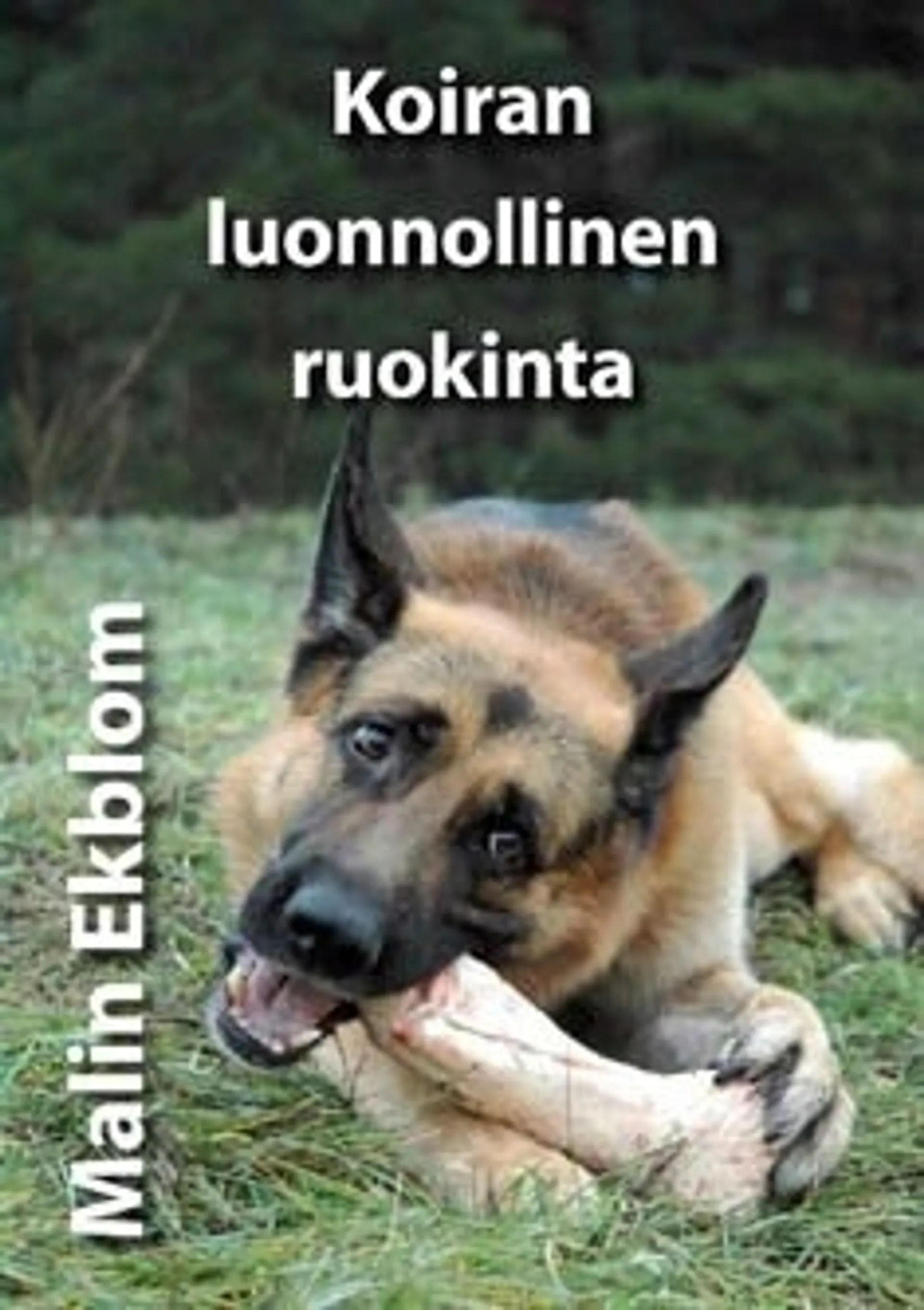 Koiran luonnollinen ruokinta