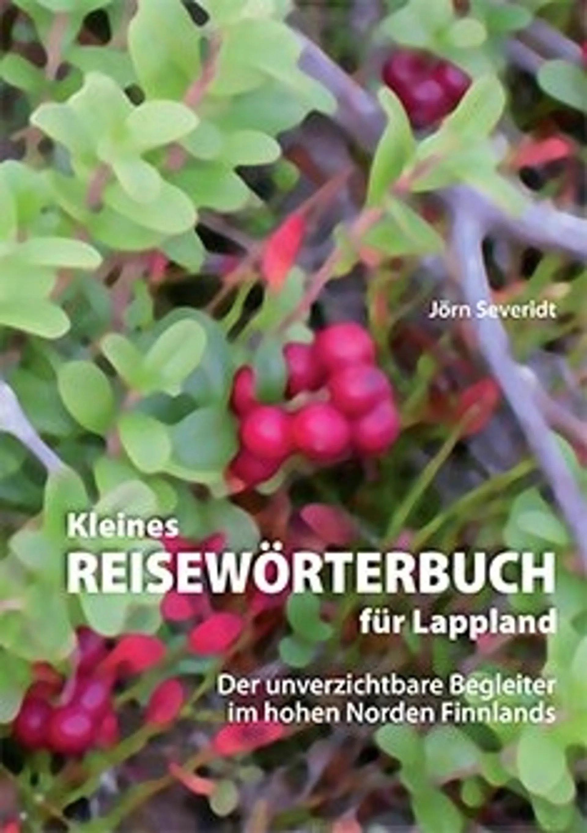 Kleines reisewörterbuch für Lappland