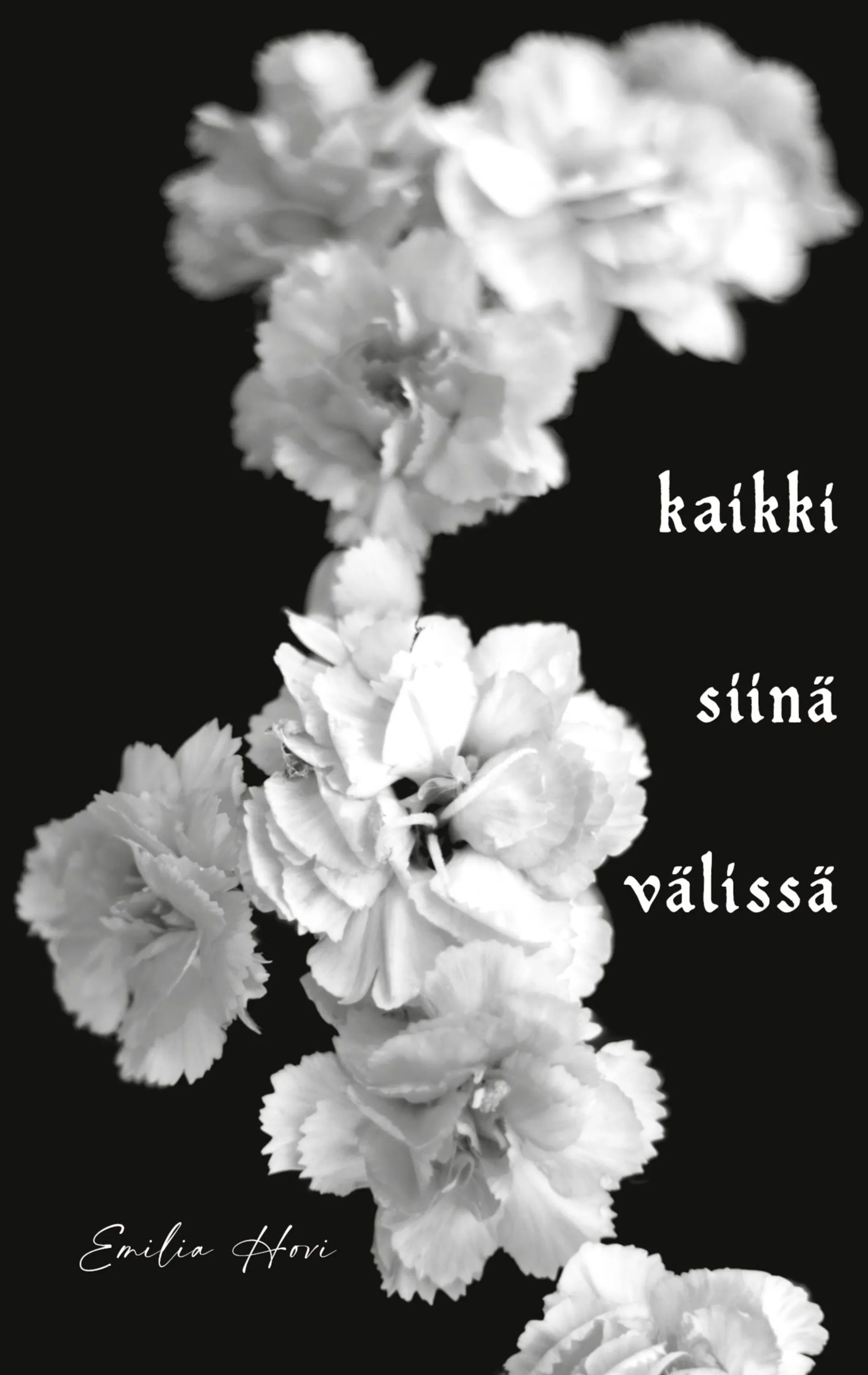 Hovi, Kaikki siinä välissä