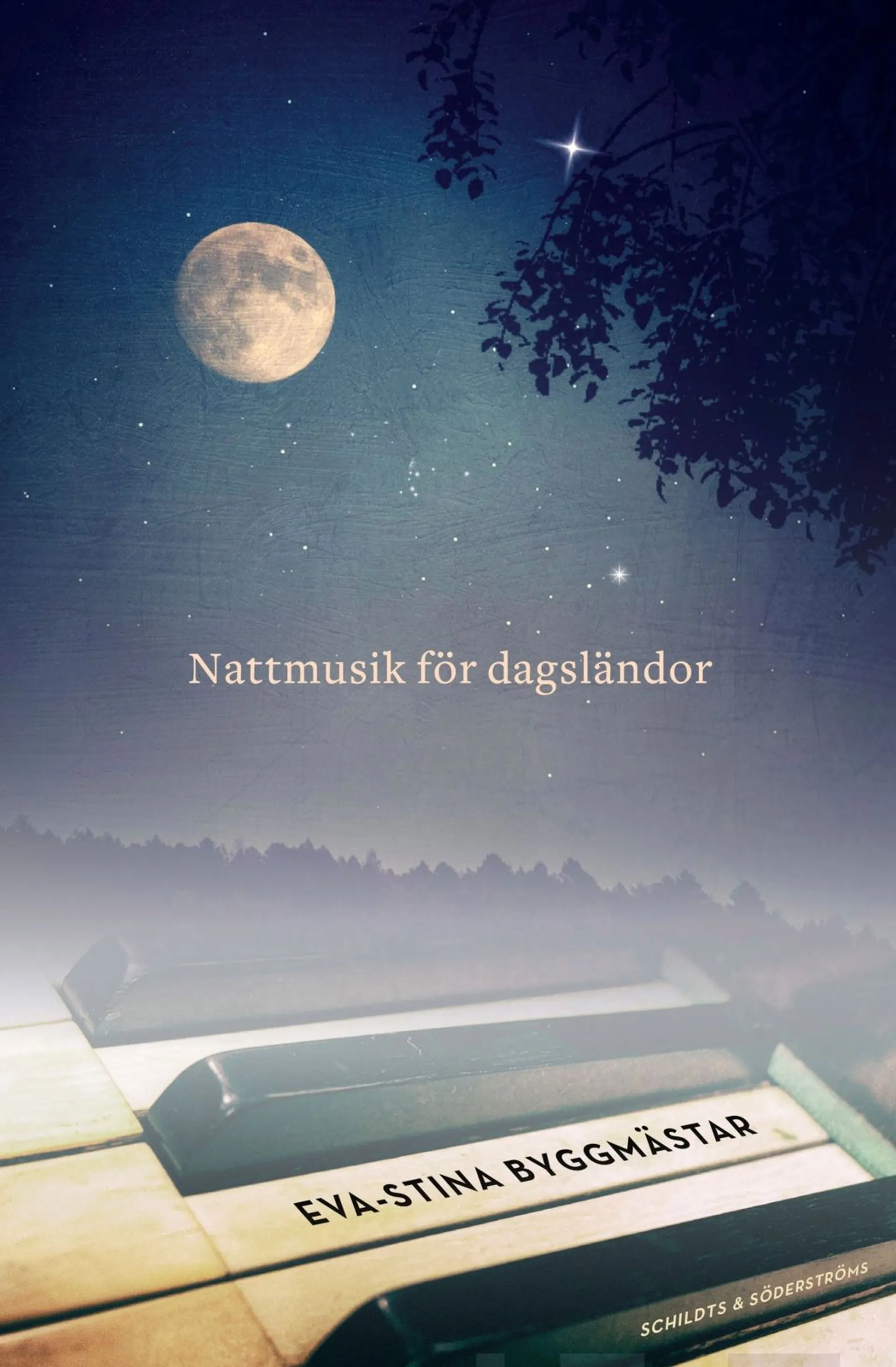 Byggmästar, Nattmusik för dagsländor