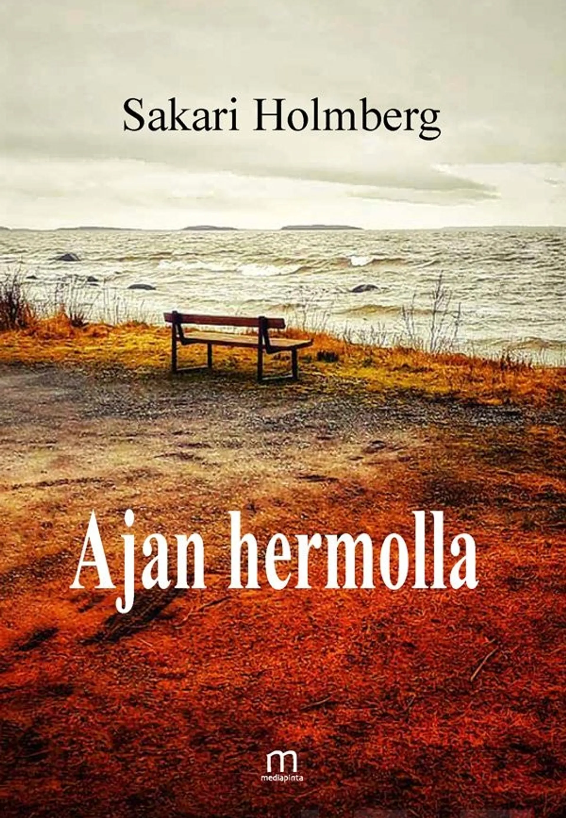 Holmberg, Ajan hermolla