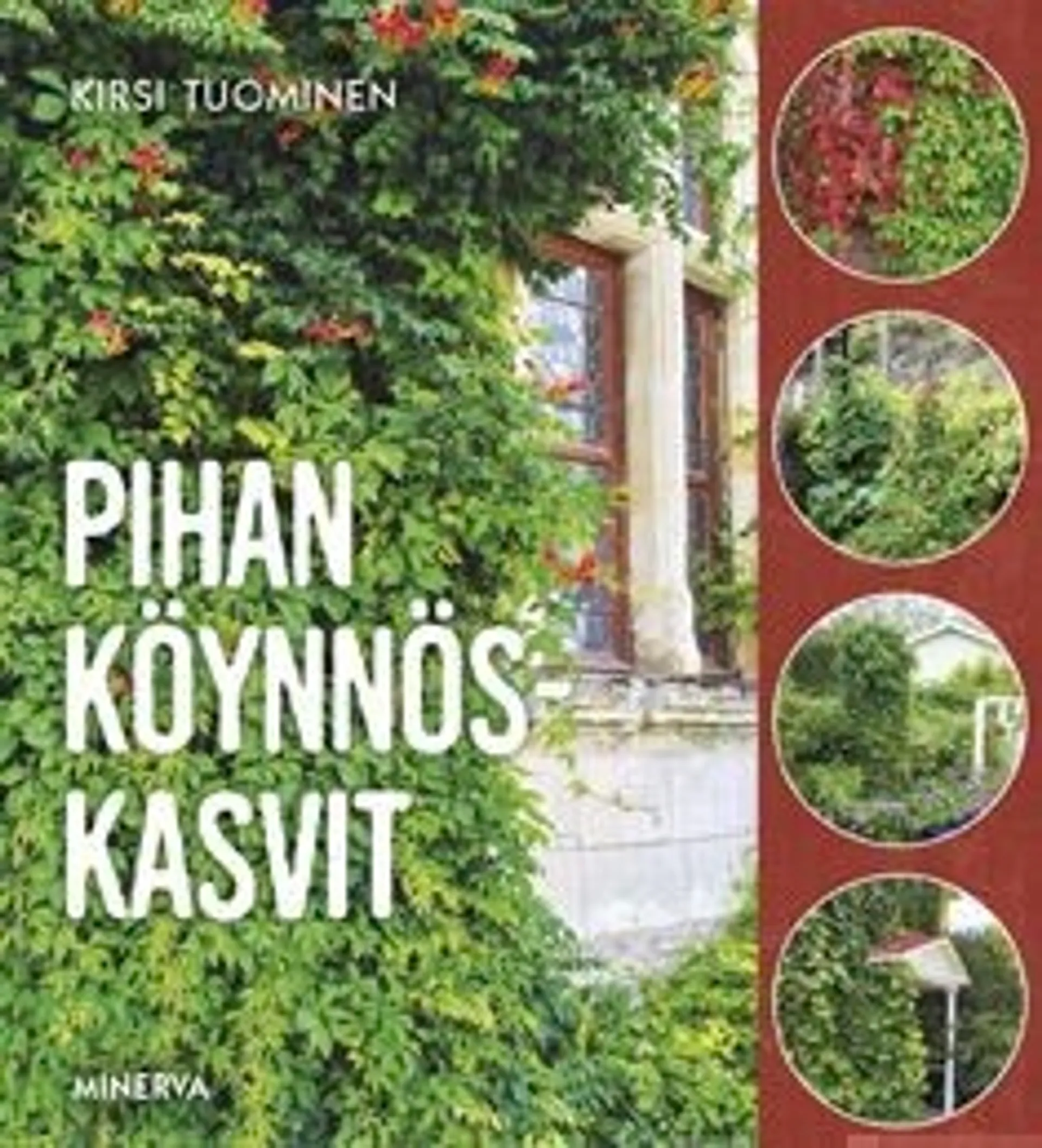 Tuominen, Pihan köynnöskasvit