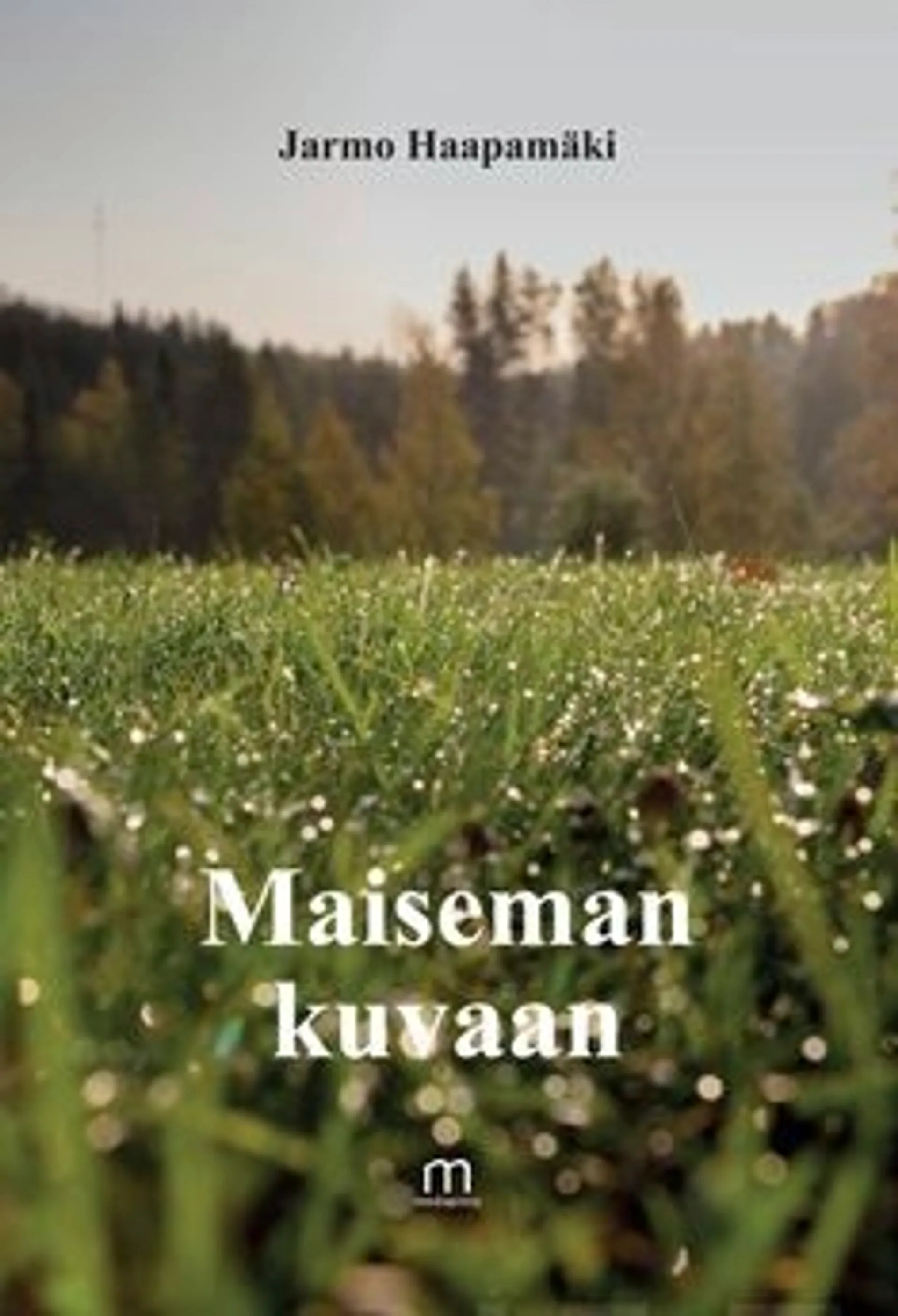 Haapamäki, Maiseman kuvaan