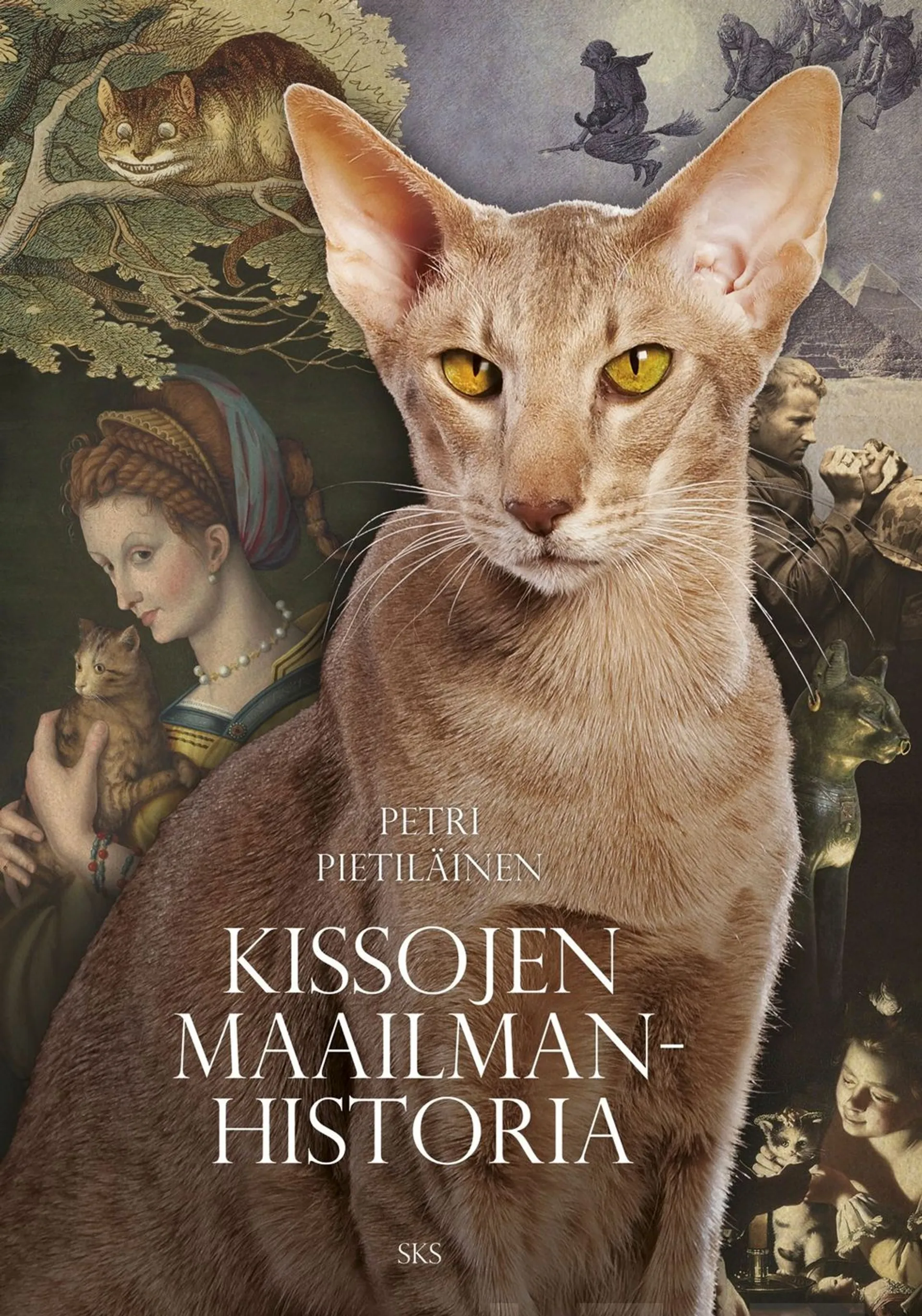 Pietiläinen, Kissojen maailmanhistoria
