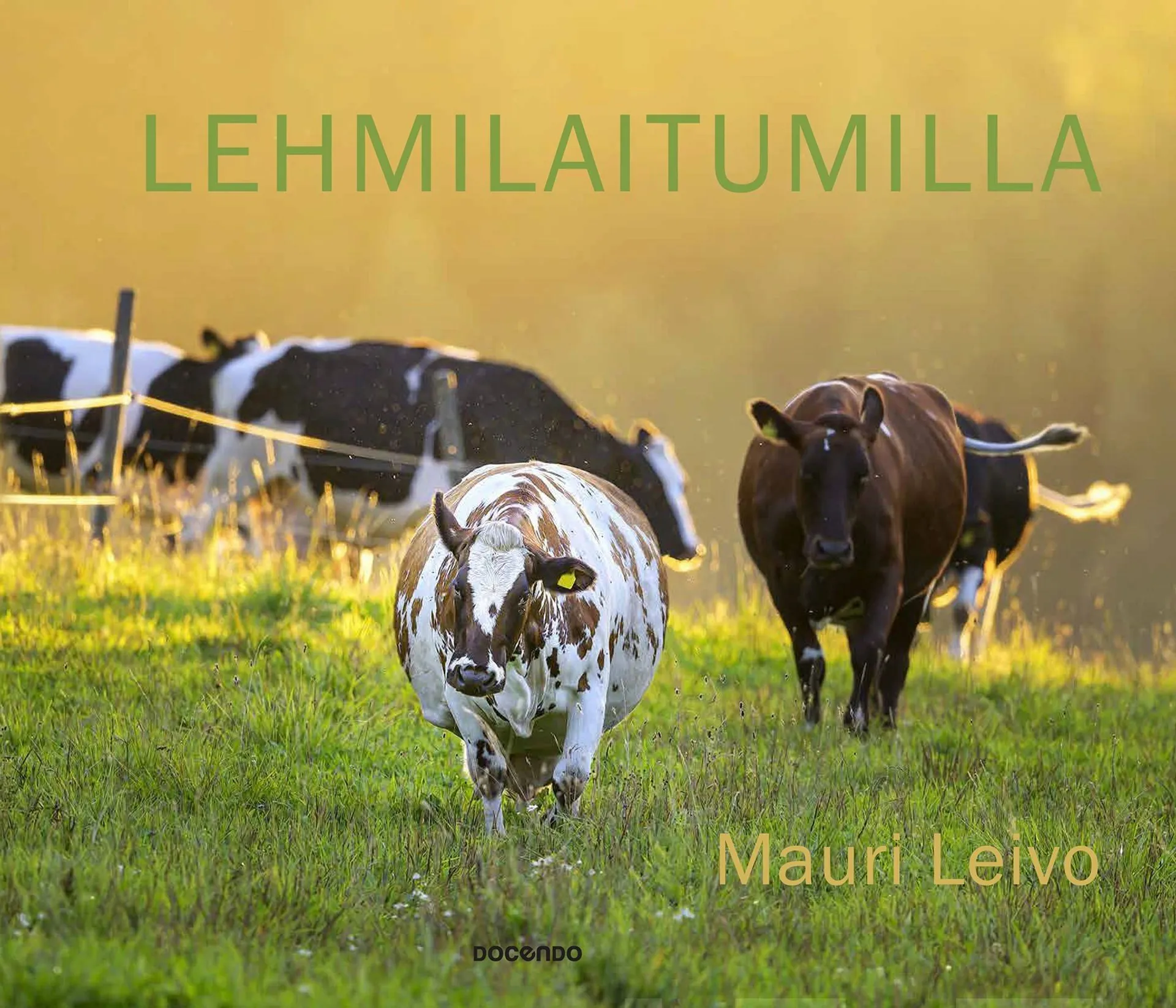 Leivo, Lehmilaitumilla