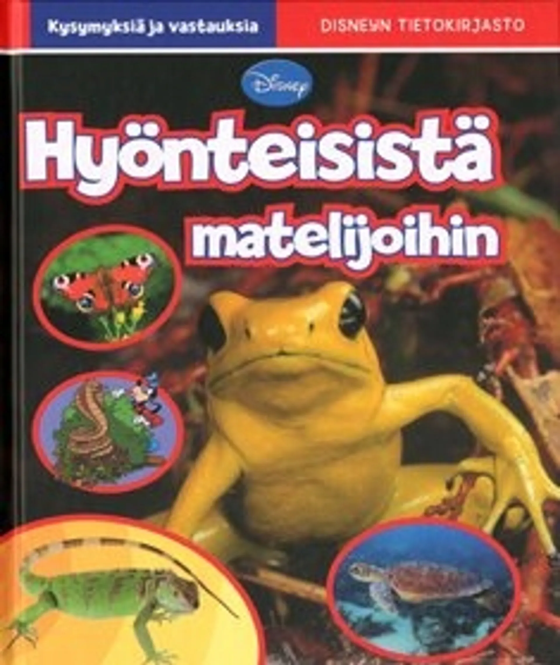 Hyönteisistä matelijoihin