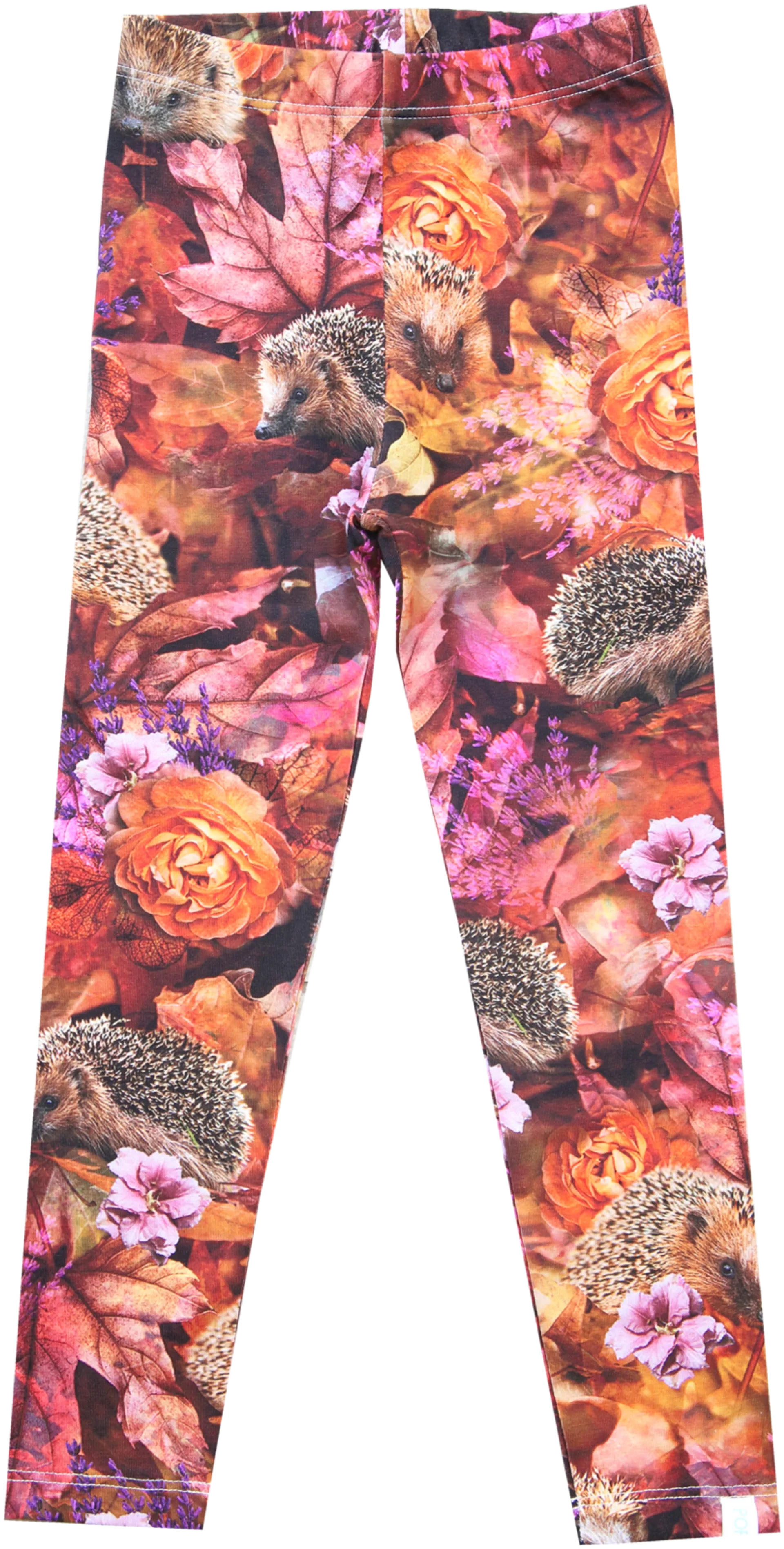 Elicia leggings hedgehog - 6209