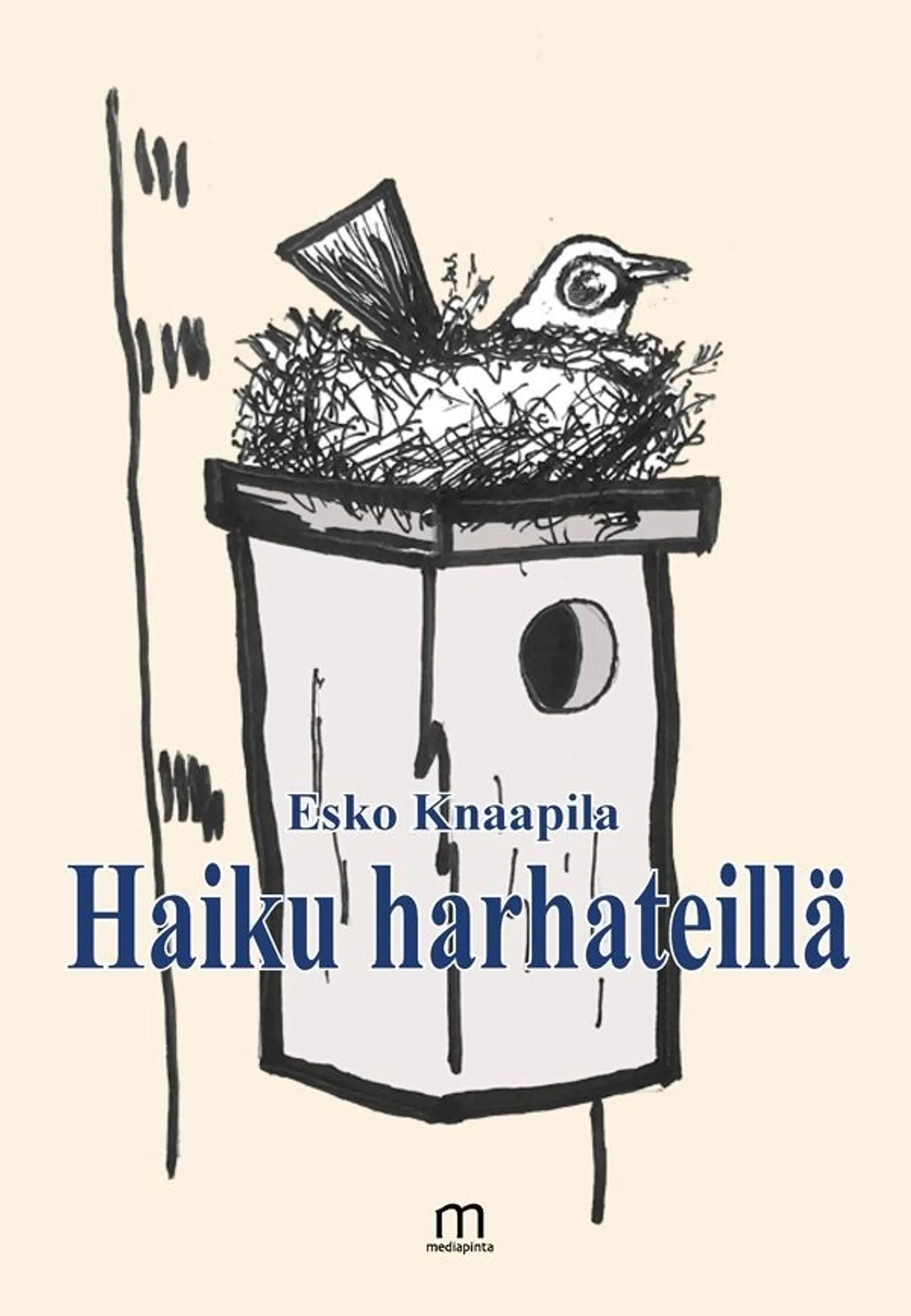 Knaapila Esko, Haiku harhateillä