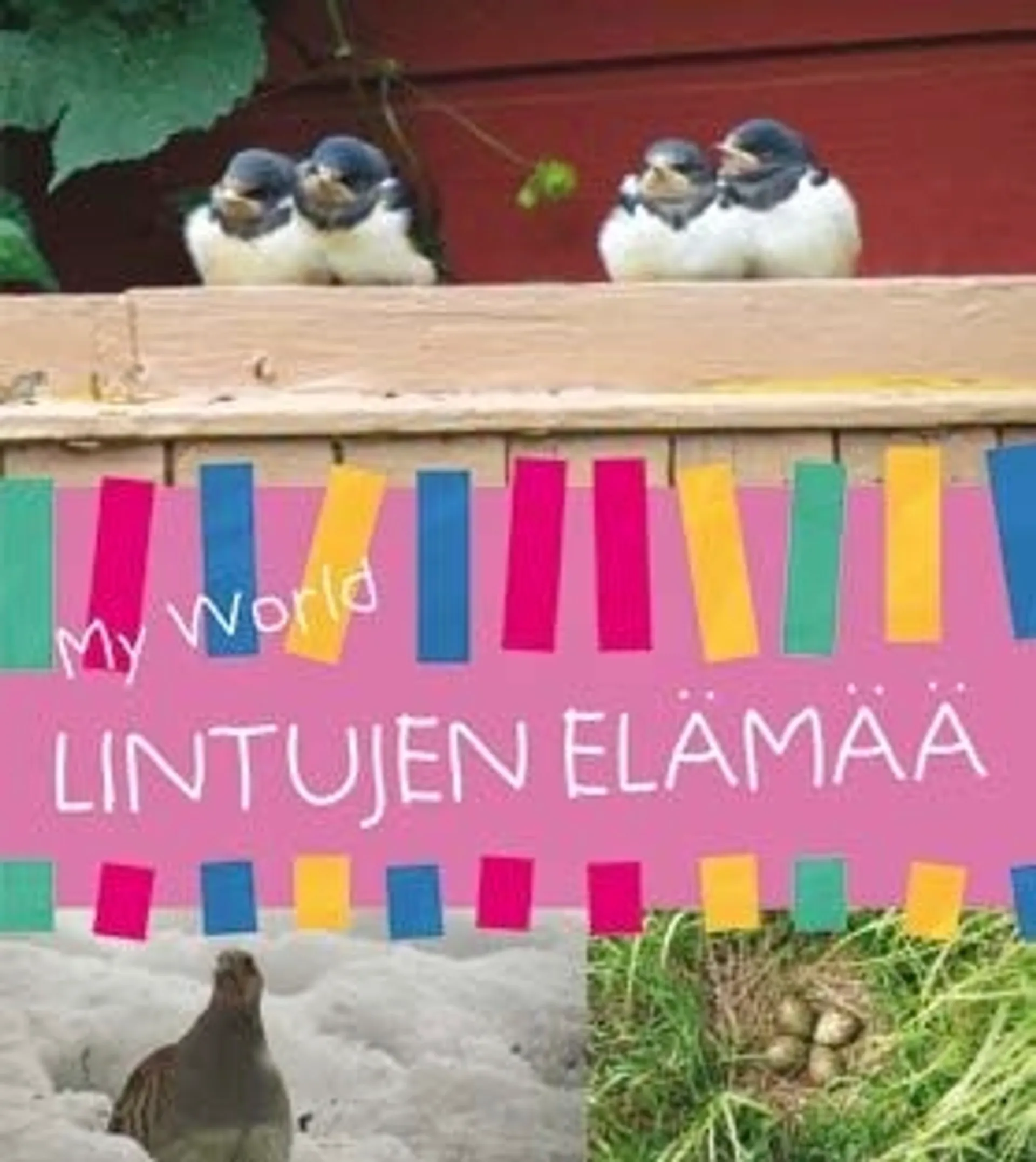 Hänninen, Lintujen elämää