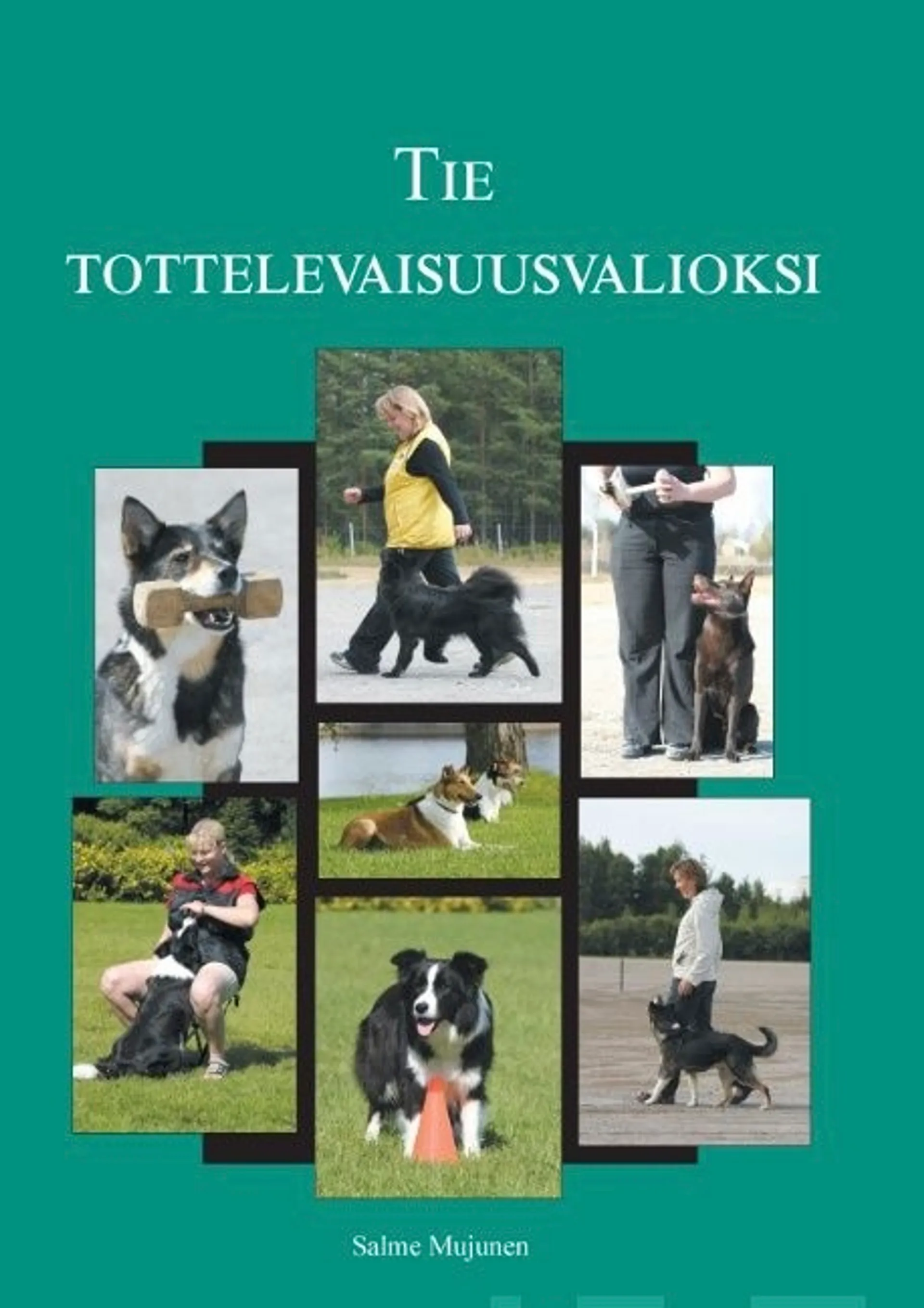 Tie tottelevaisuusvalioksi