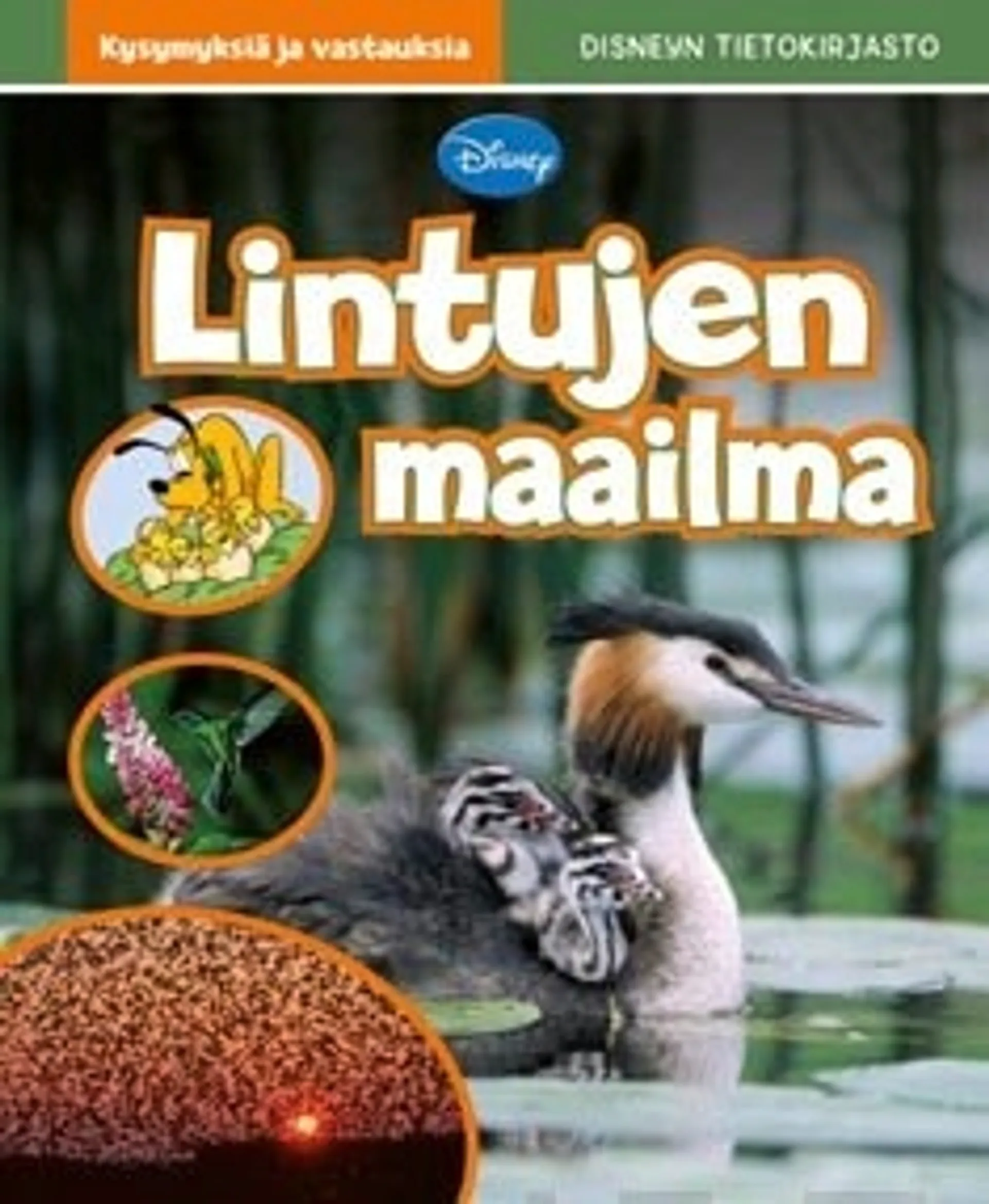 Lintujen maailma