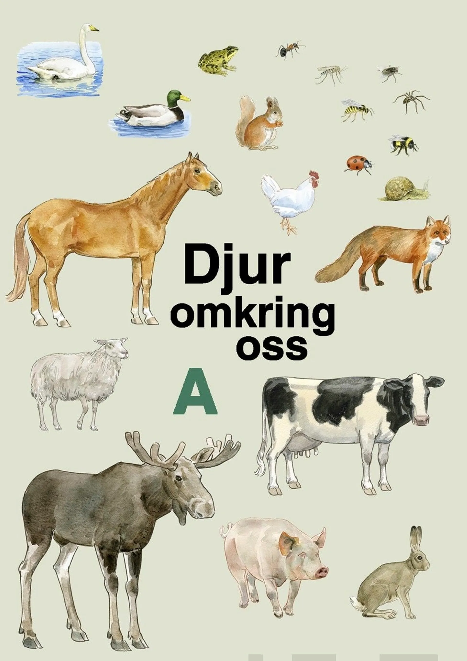 Melander, Djur omkring oss A