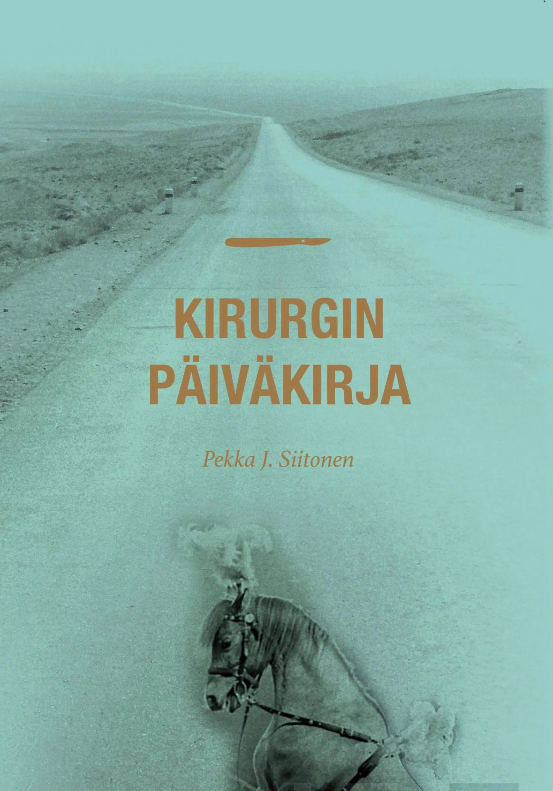 Siitonen, Kirurgin päiväkirja