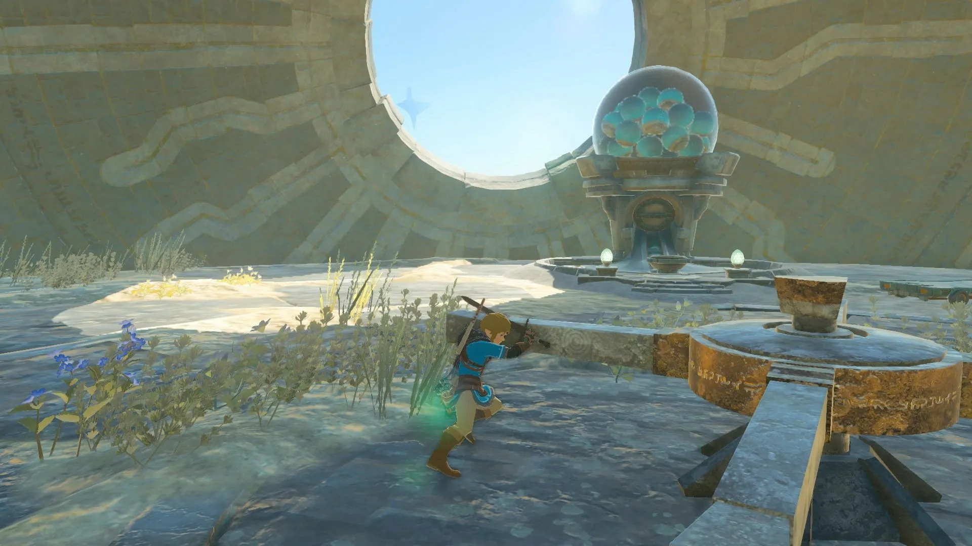 The Legend of Zelda: Tears of the Kingdom - 8