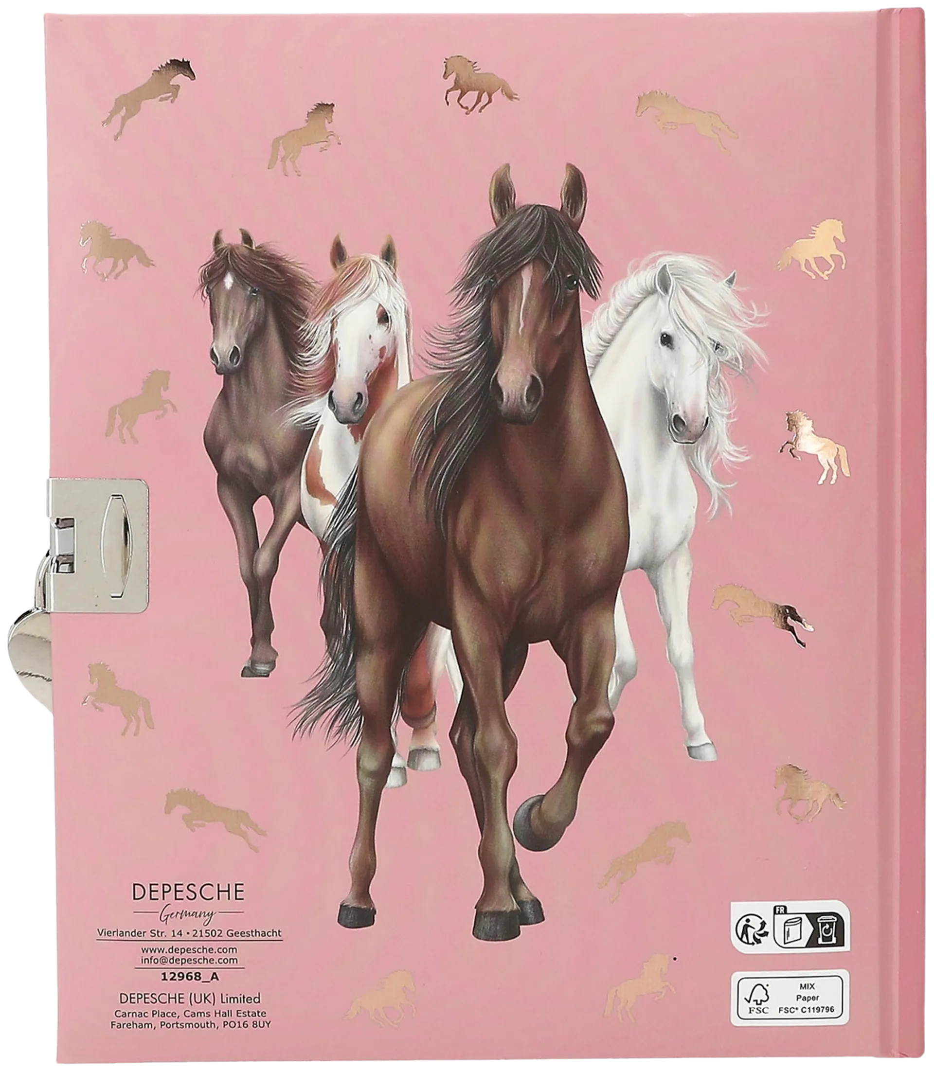Miss Melody Päiväkirja, hevonen ja sulka - 5