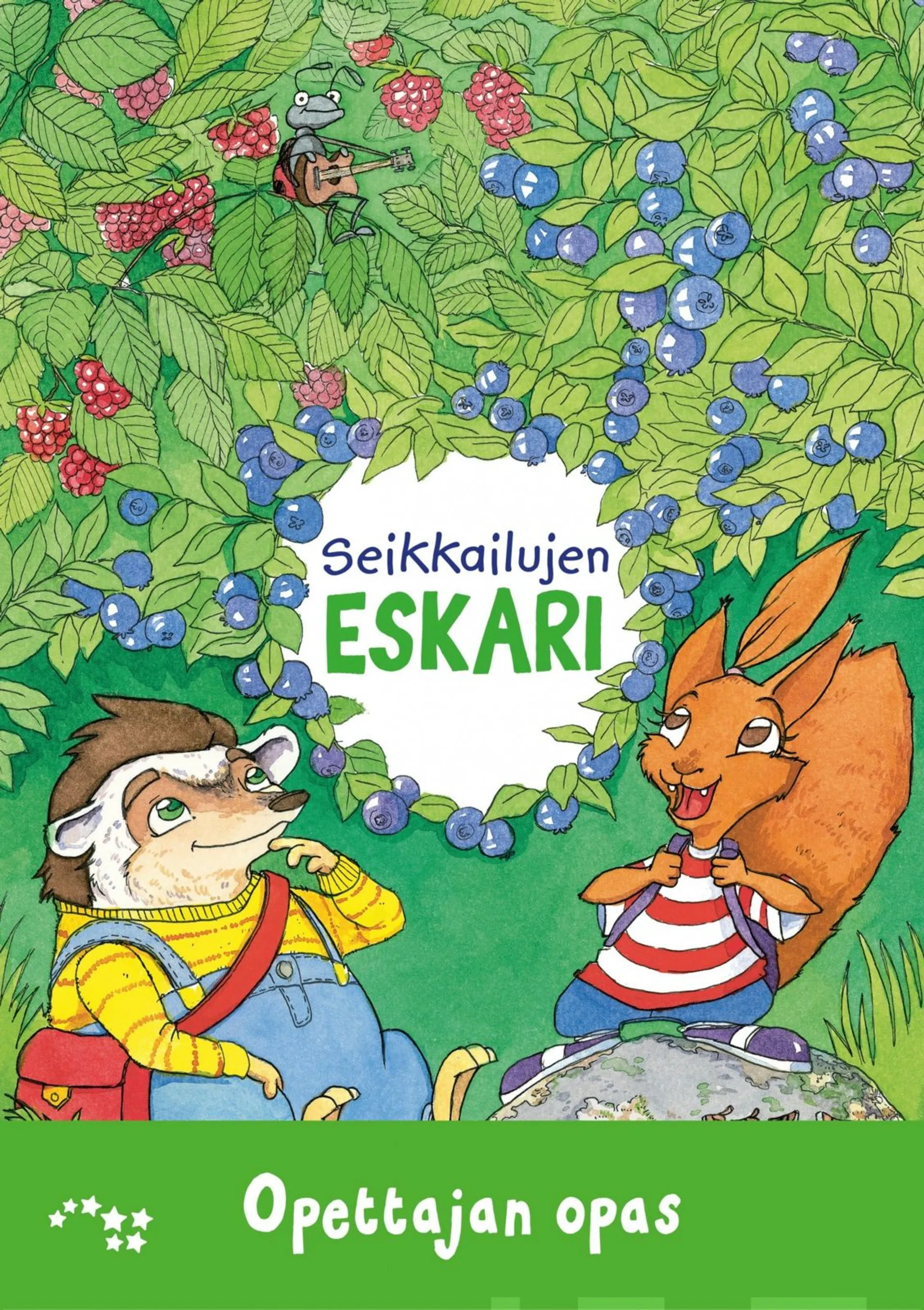 Kolu, Seikkailujen eskari opettajan opas