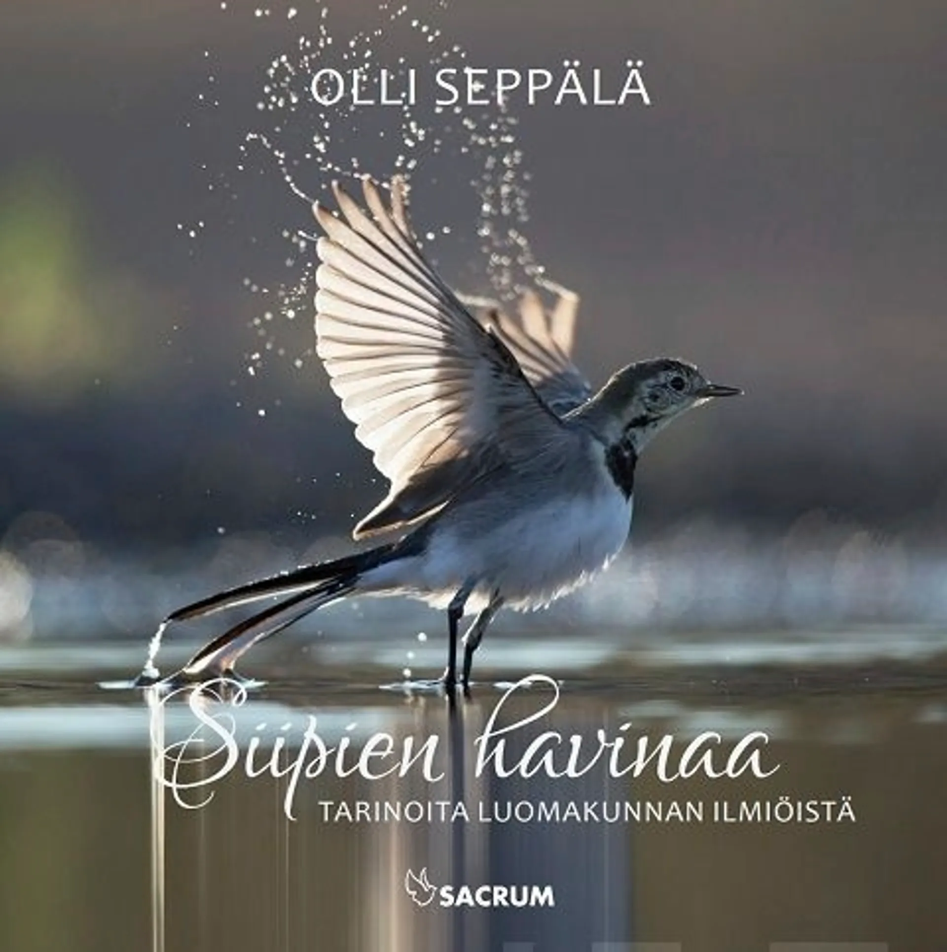 Seppälä, Siipien havinaa - Tarinoita luomakunnan ilmiöistä