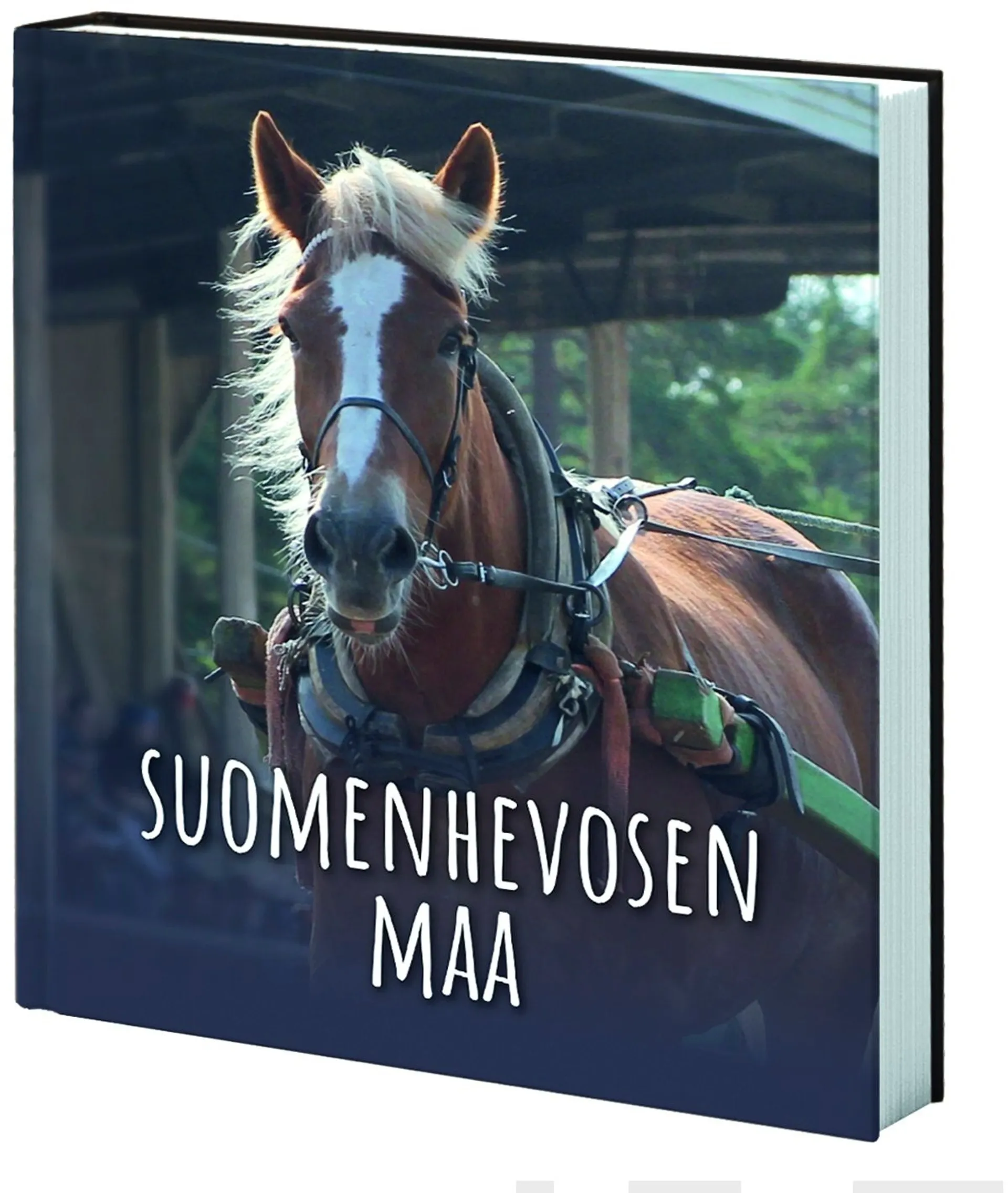 Suomenhevosen maa - Kertomus suomalaisen hevosen matkasta monimuotoiseksi kansallisaarteeksi, suomenhevoseksi