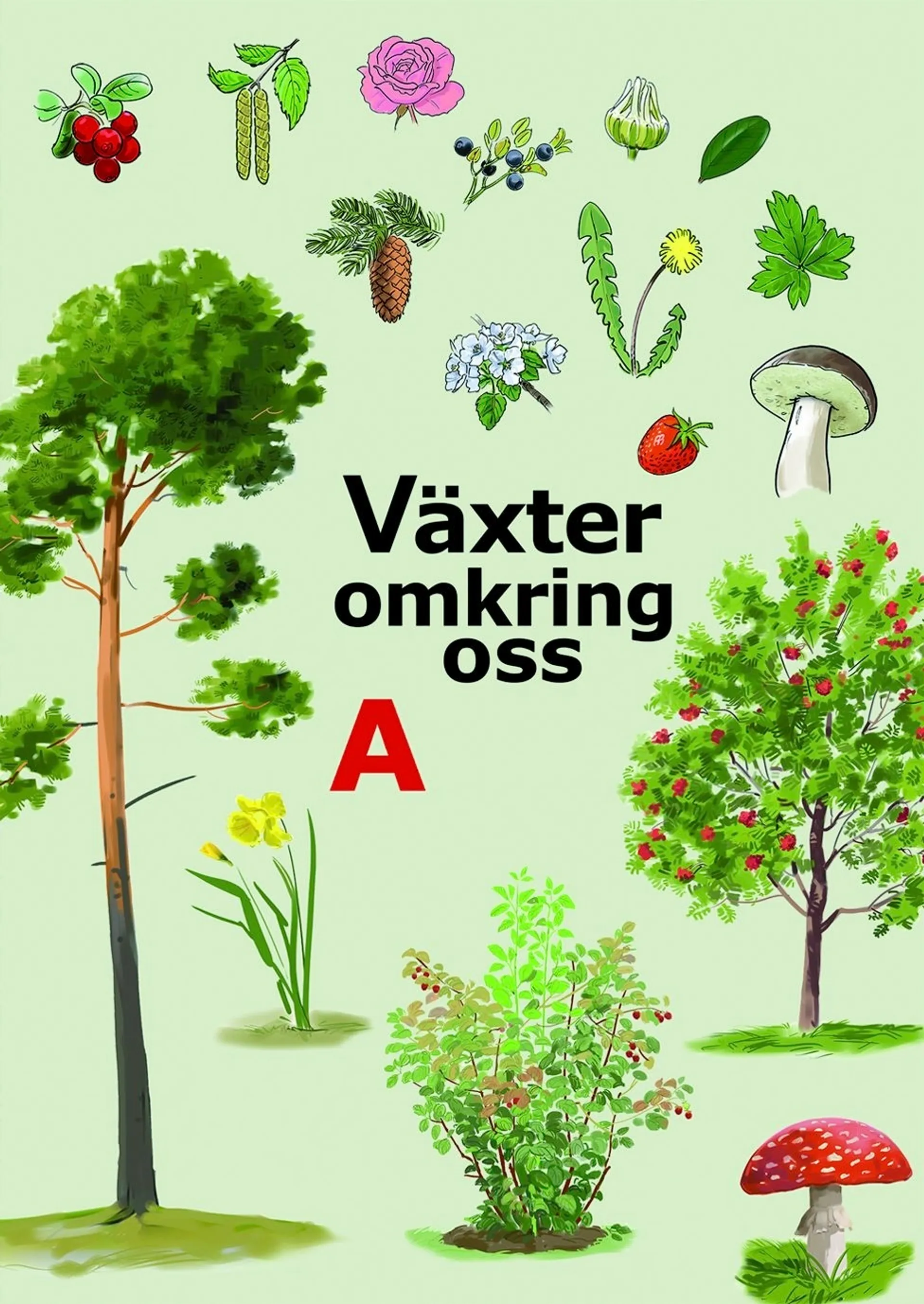 Melander, Växter omkring oss A