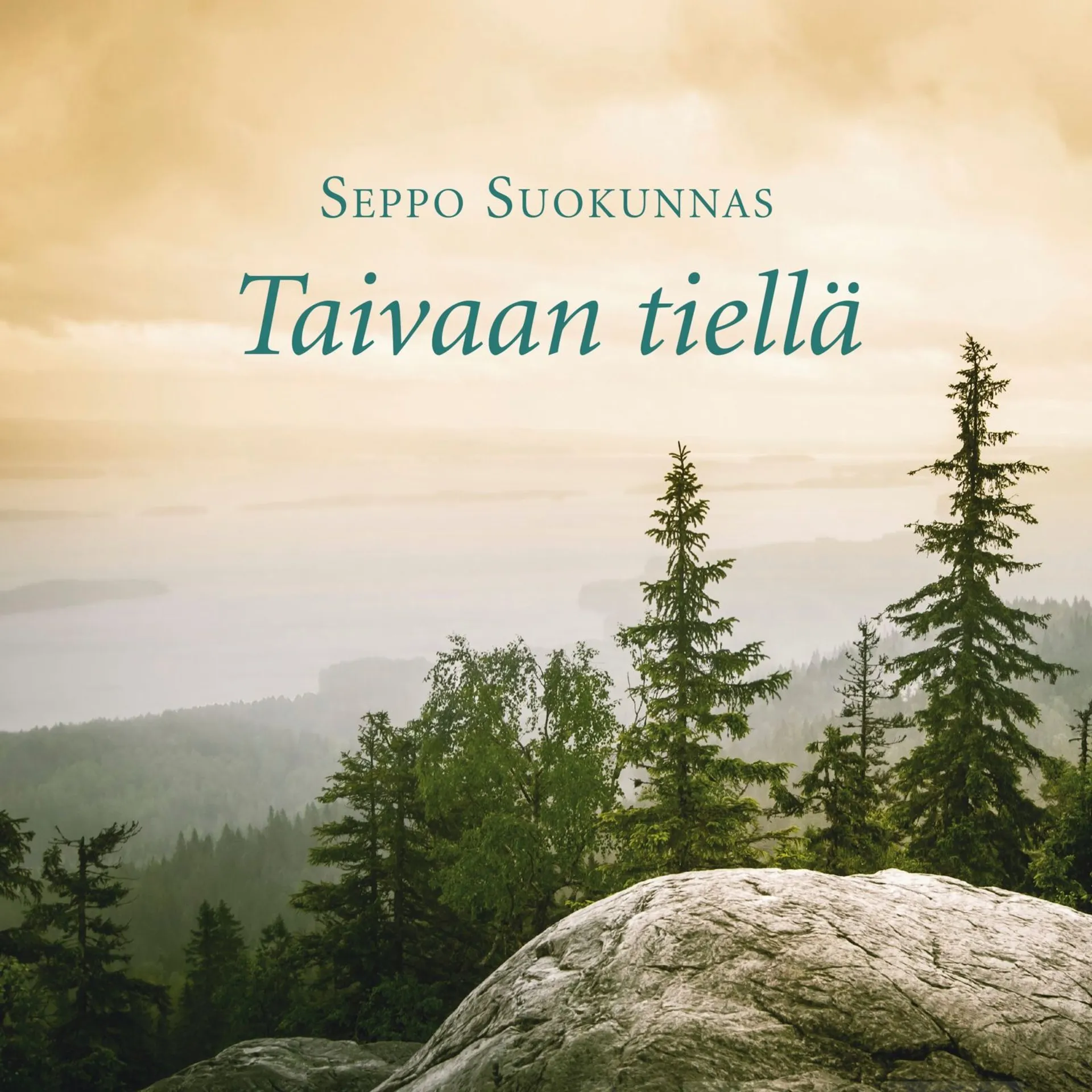 Suokunnas, Taivaan tiellä