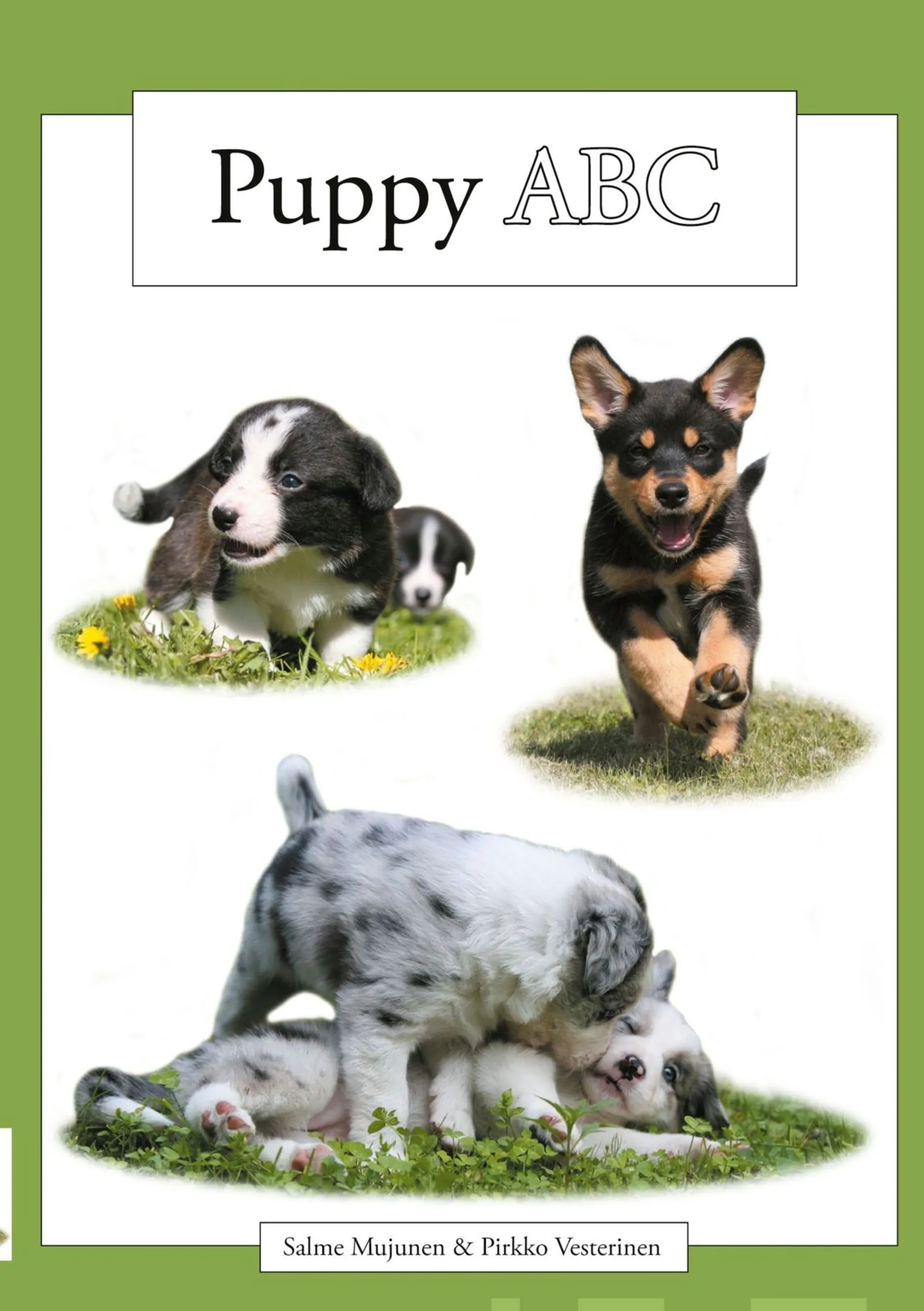 Mujunen, Puppy ABC