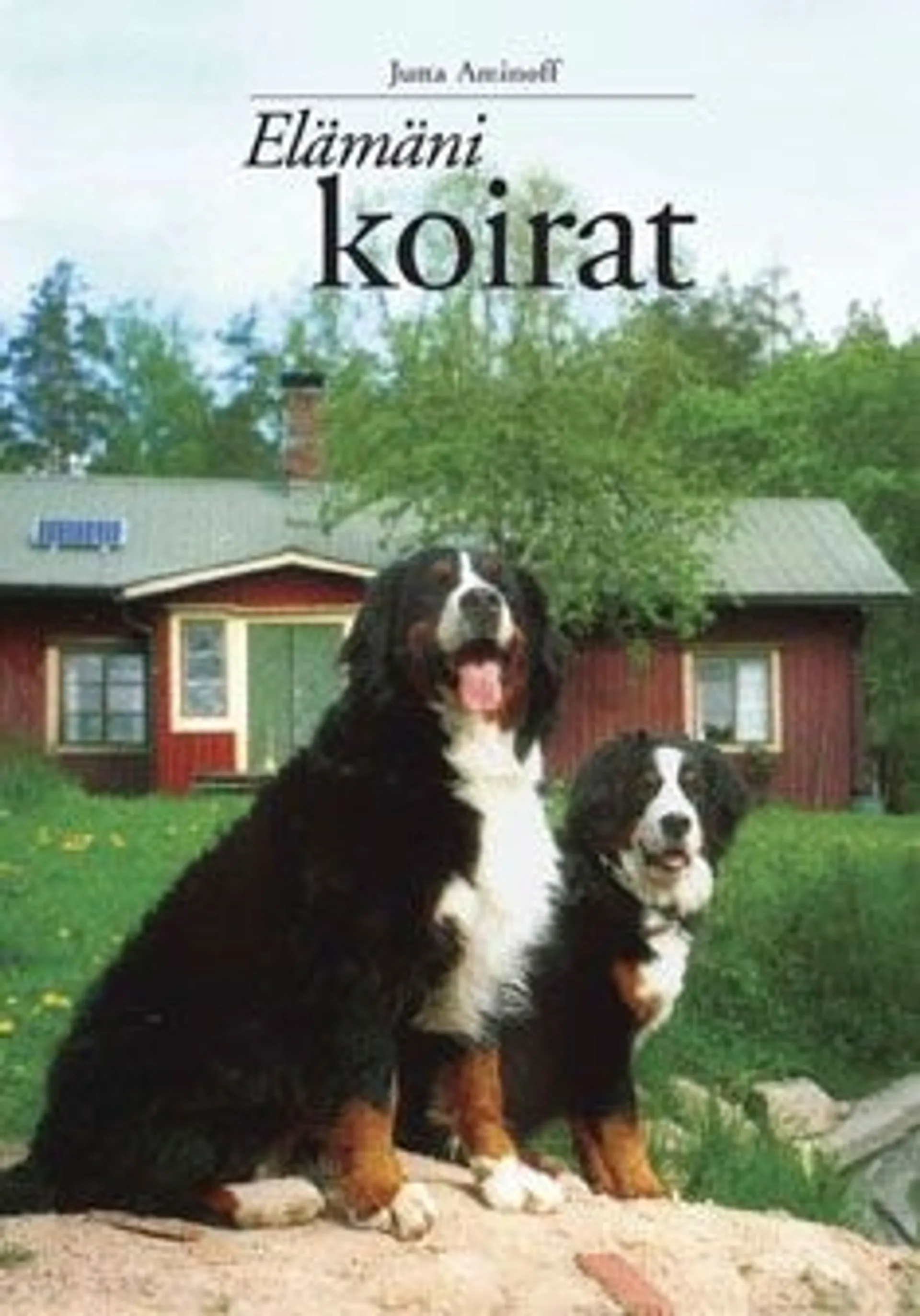 Aminoff, Elämäni koirat